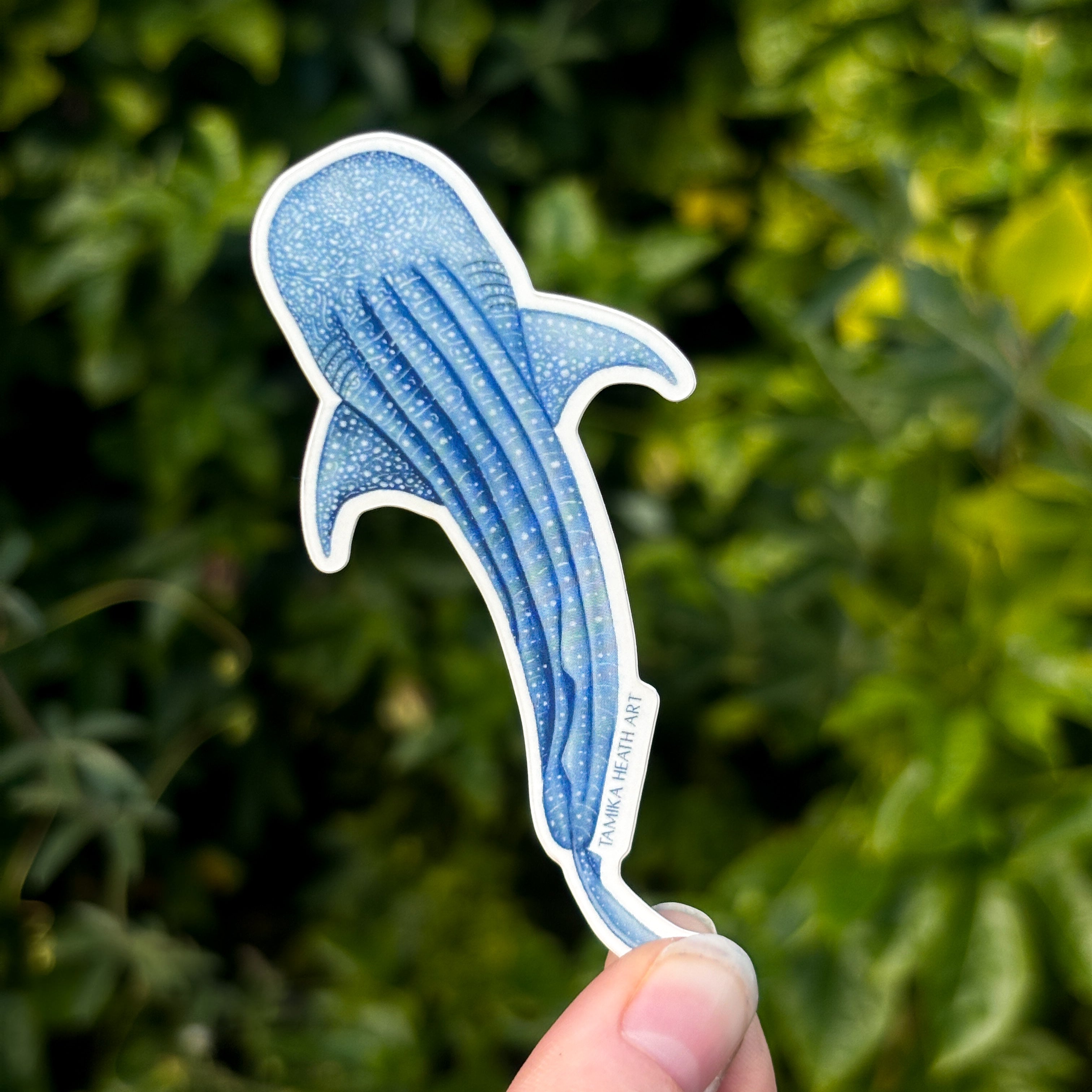 Whale Shark Sticker