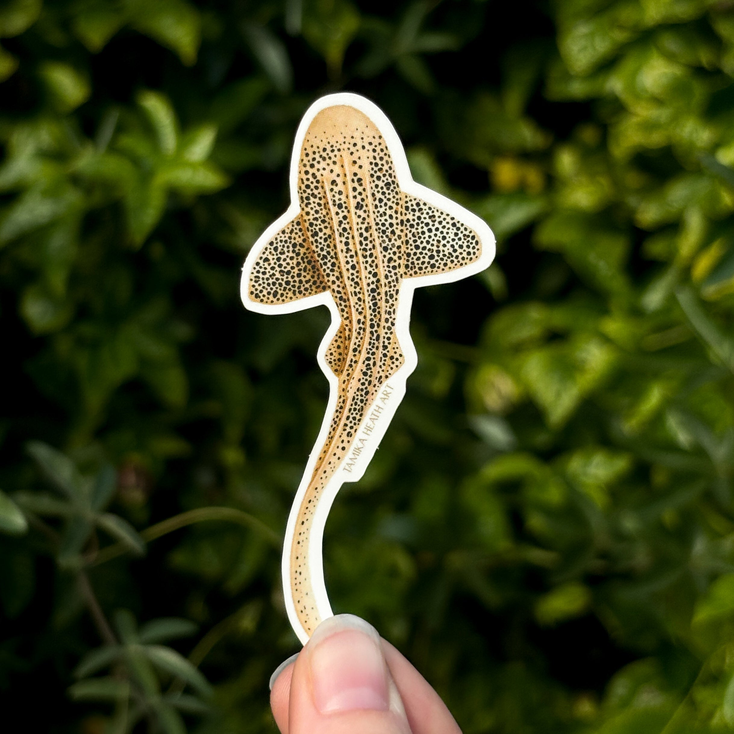 Leopard Shark Sticker