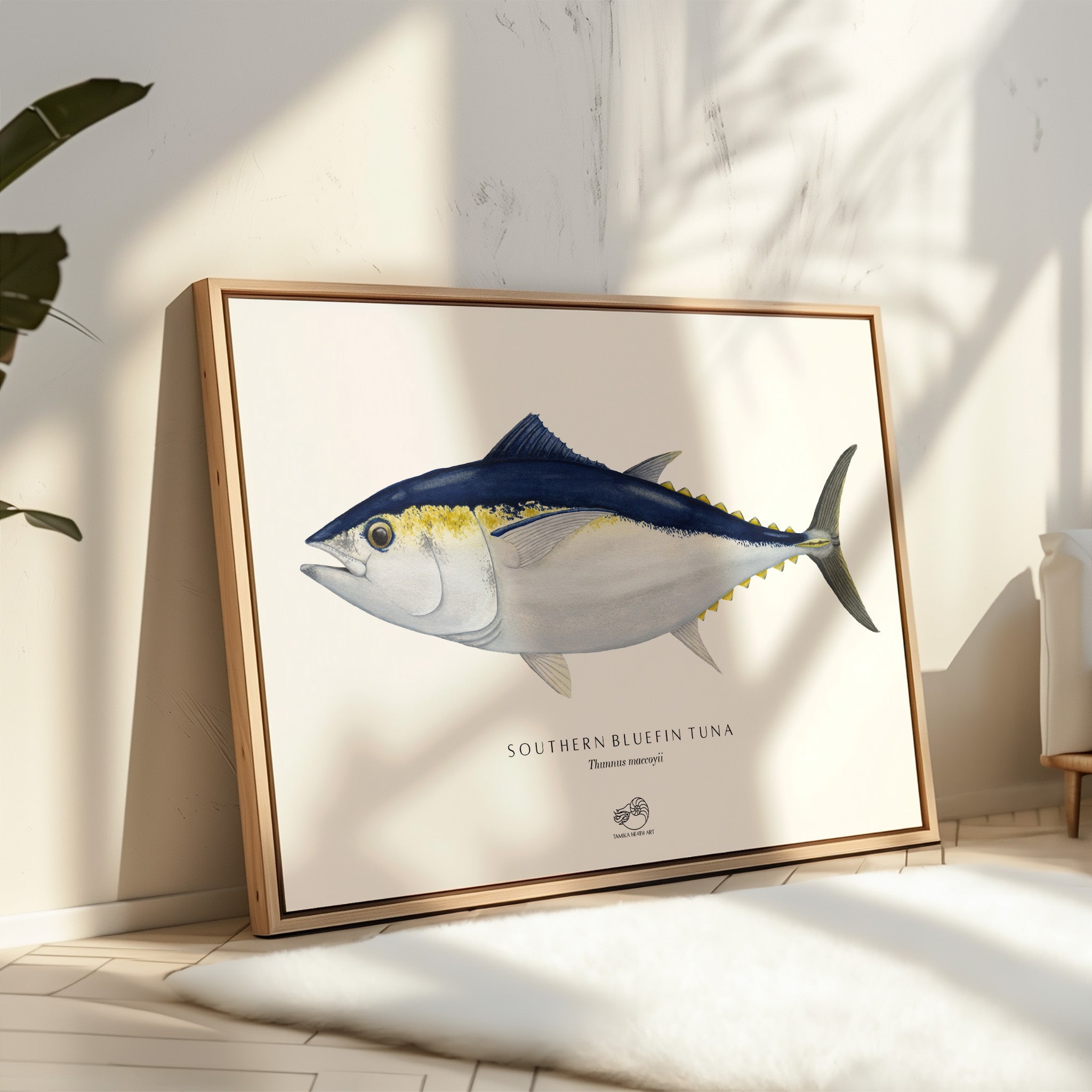 Southern Bluefin Tuna Canvas Print