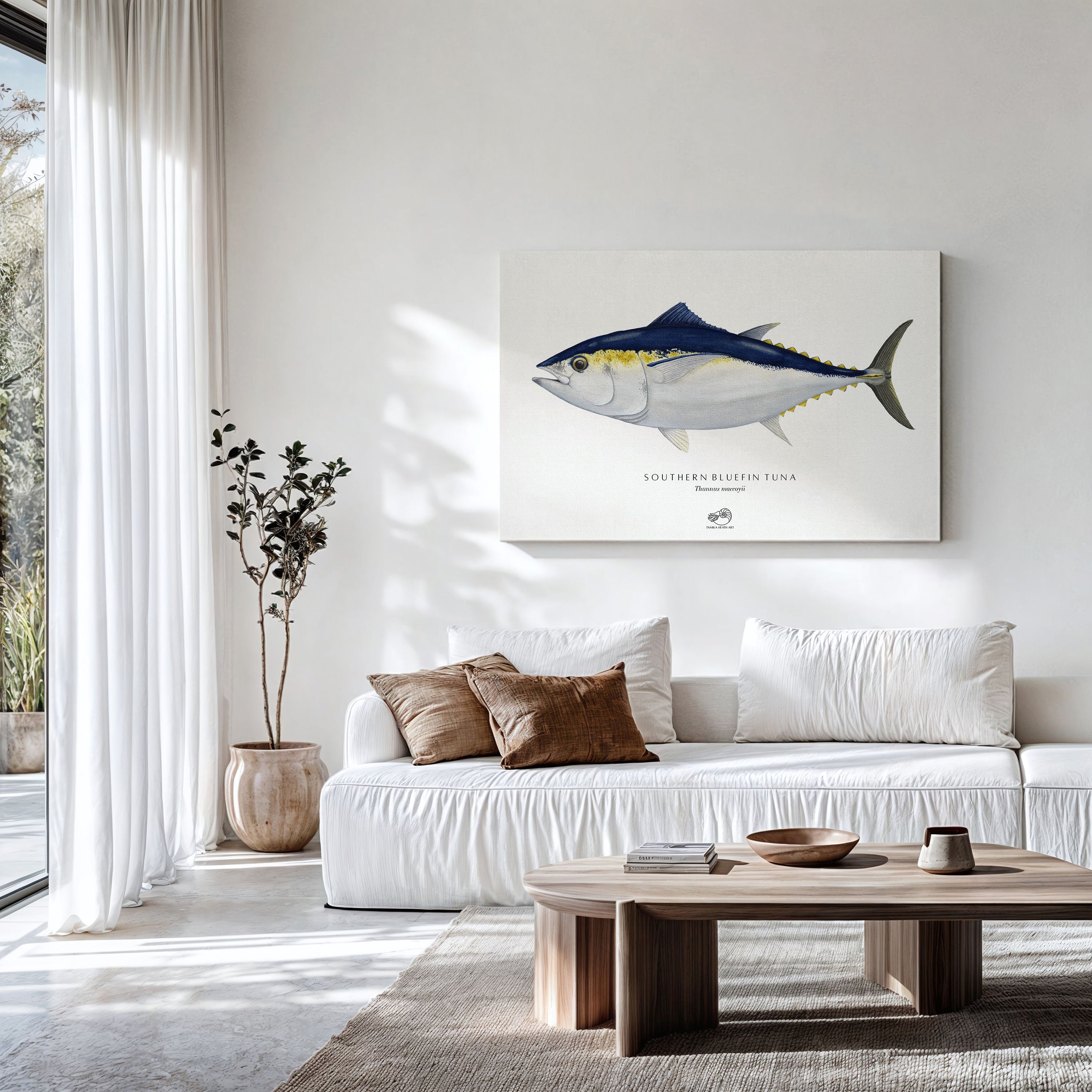 Southern Bluefin Tuna Canvas Print
