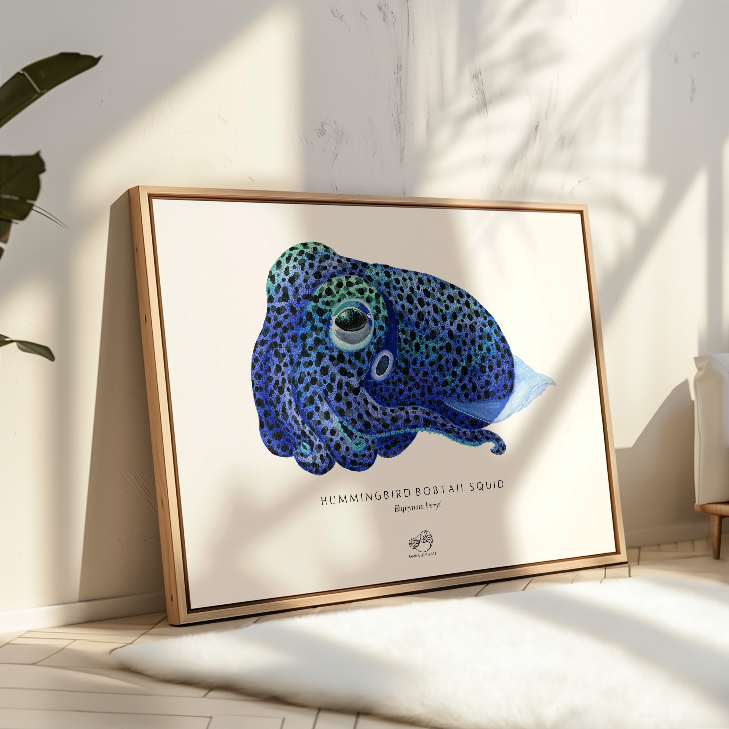 Hummingbird Bobtail Squid Canvas Print