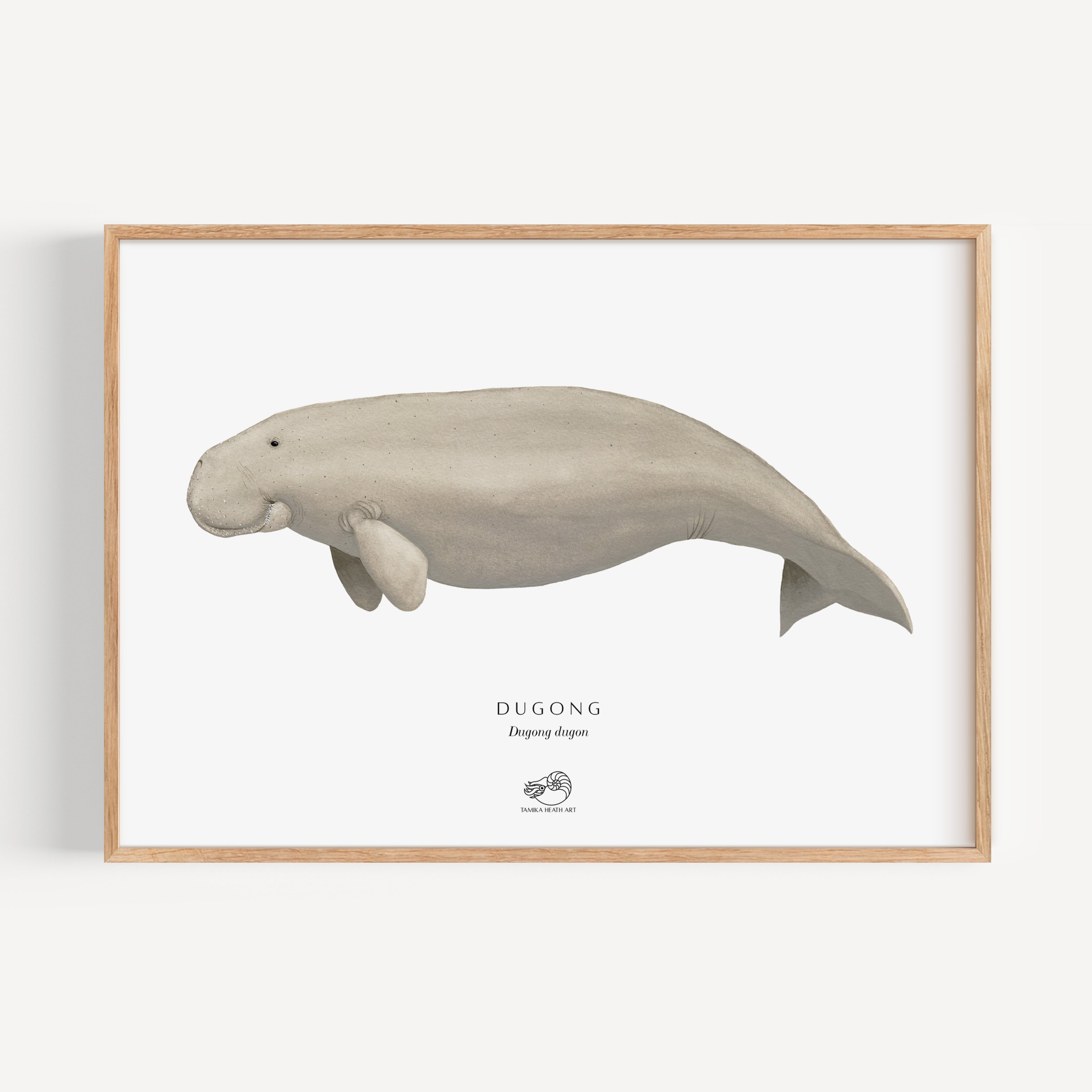 Dugong Art Print