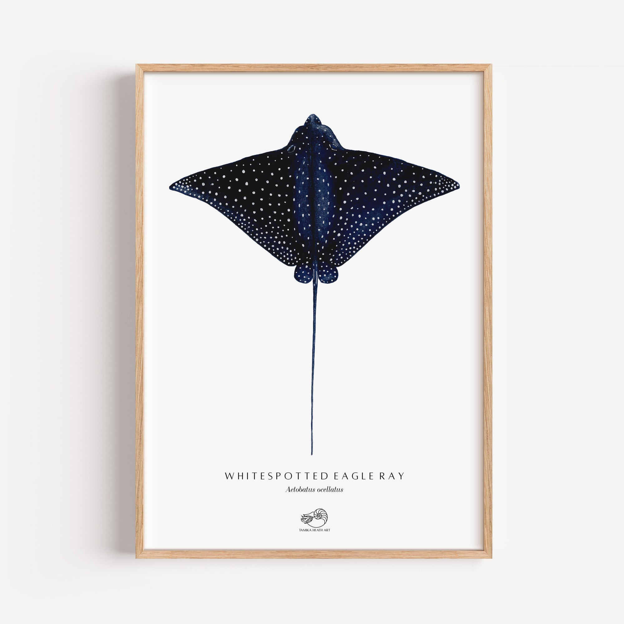 Whitespotted Eagle Ray Art Print