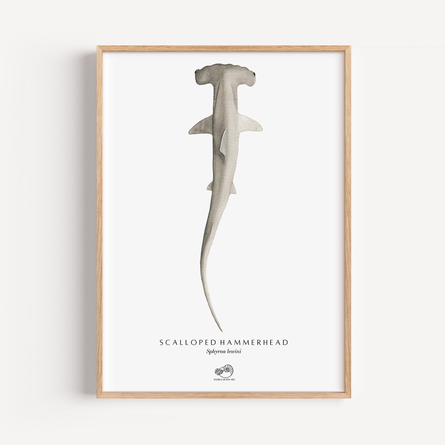 Scalloped Hammerhead Art Print
