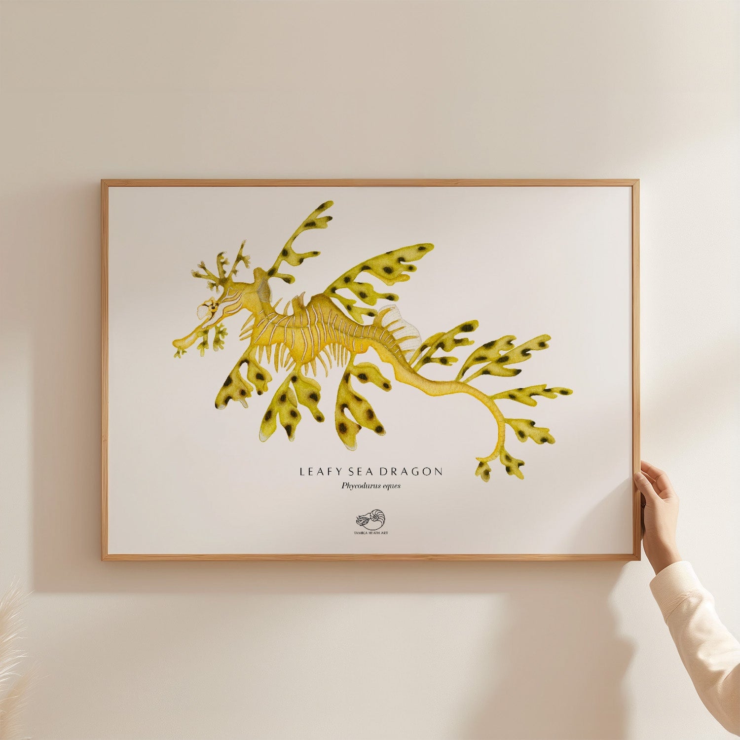 Leafy Sea Dragon Art Print