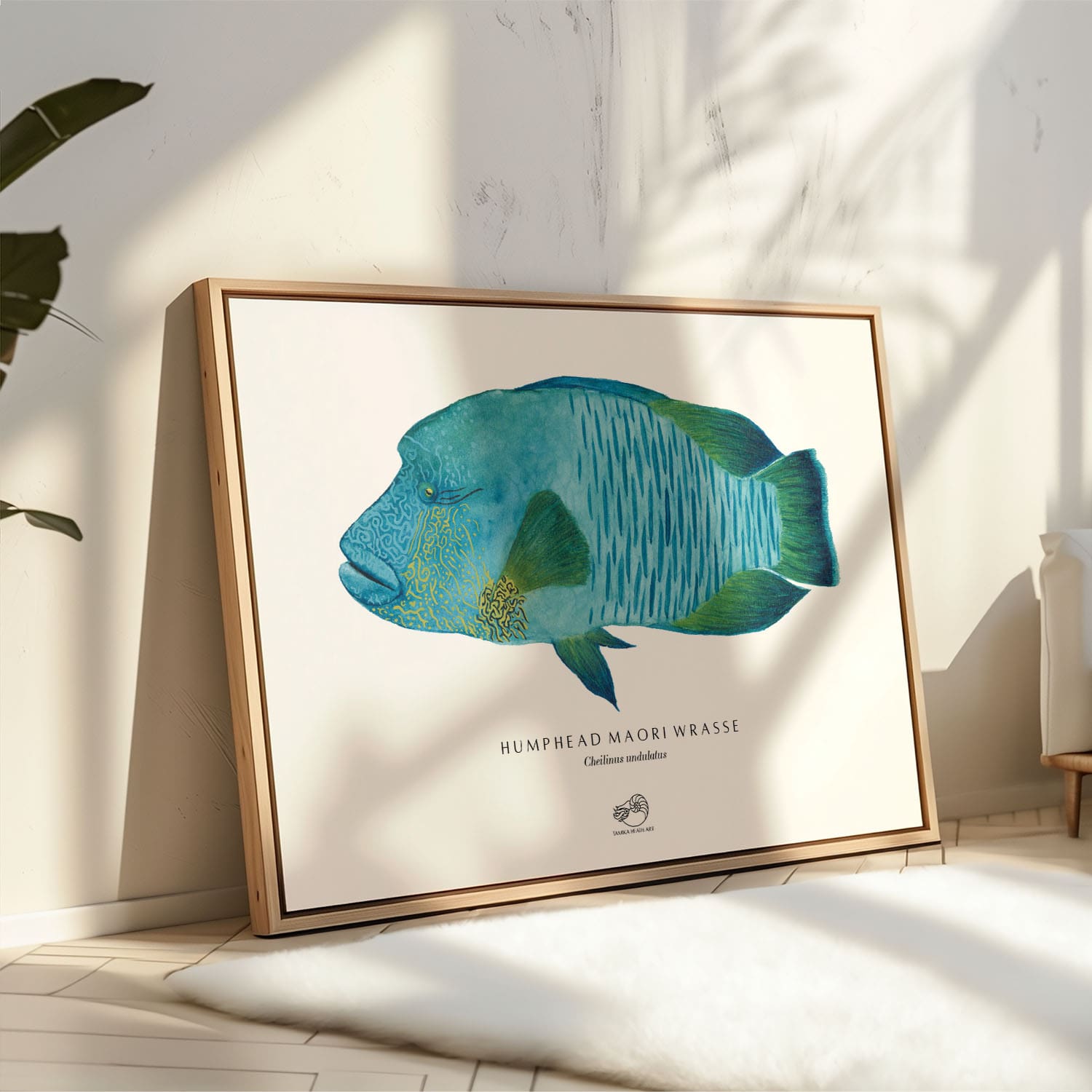 Humphead Maori Wrasse Canvas Print