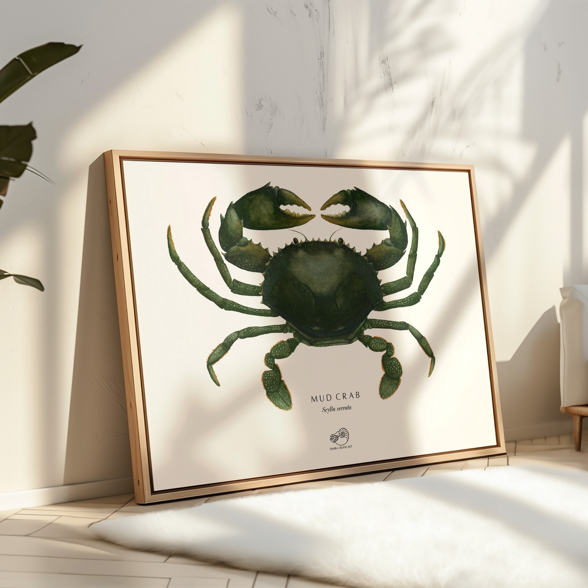 Mud Crab Canvas Print