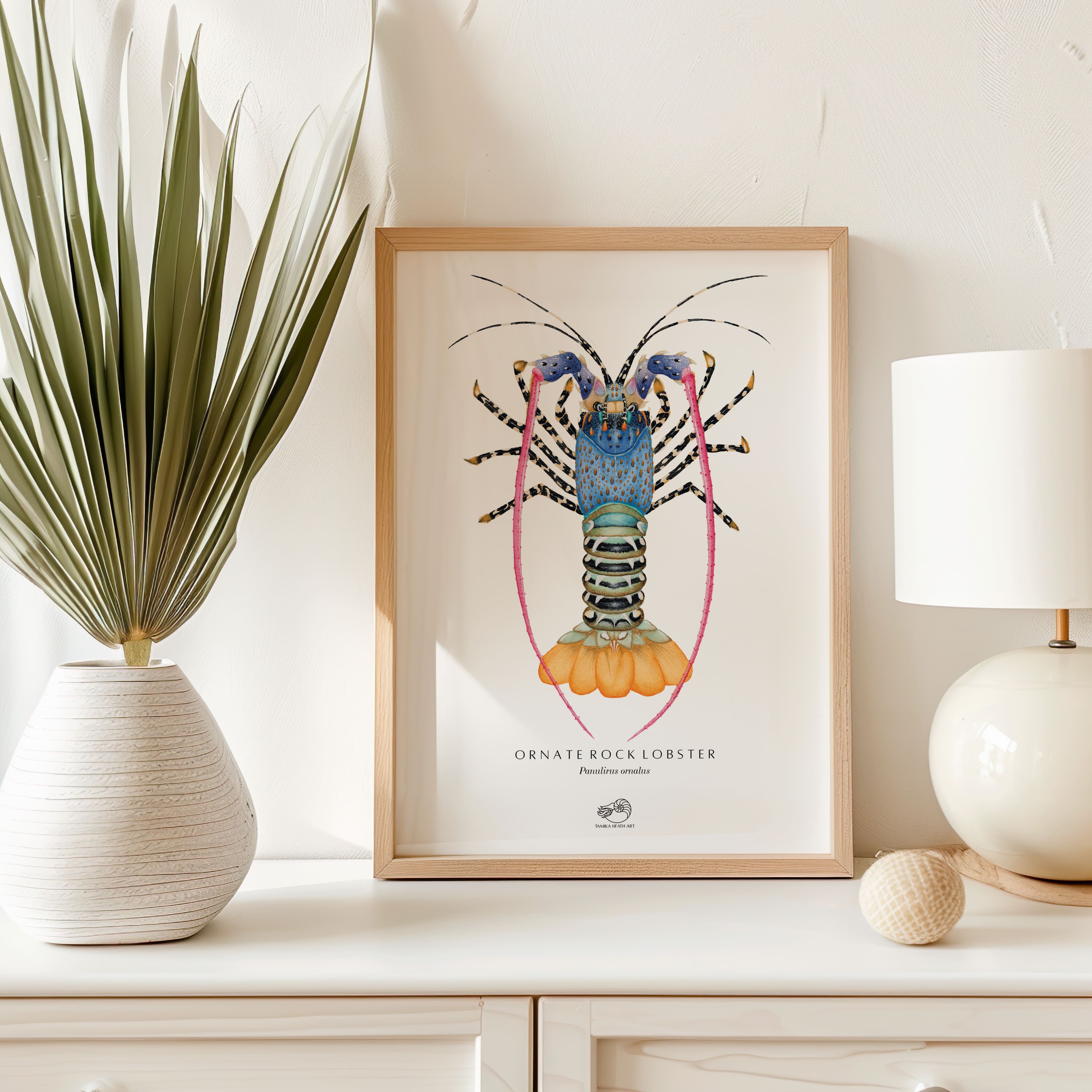 Ornate Rock Lobster Art Print