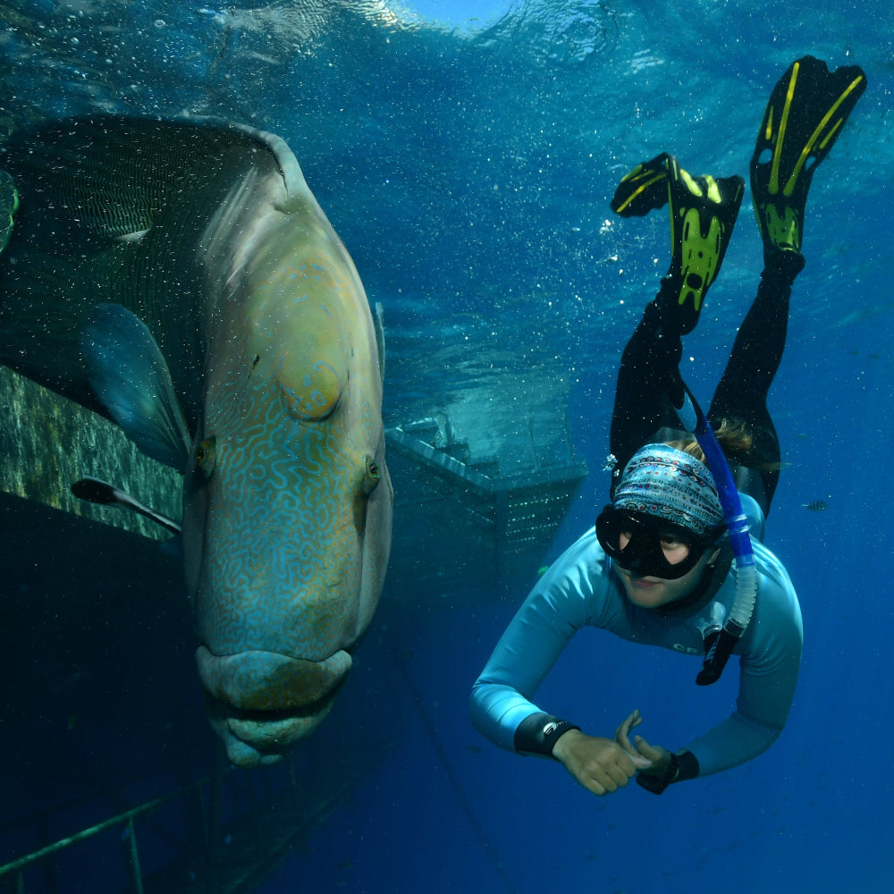 snorkeller-swimming-with-large-blue-and-green-fish
