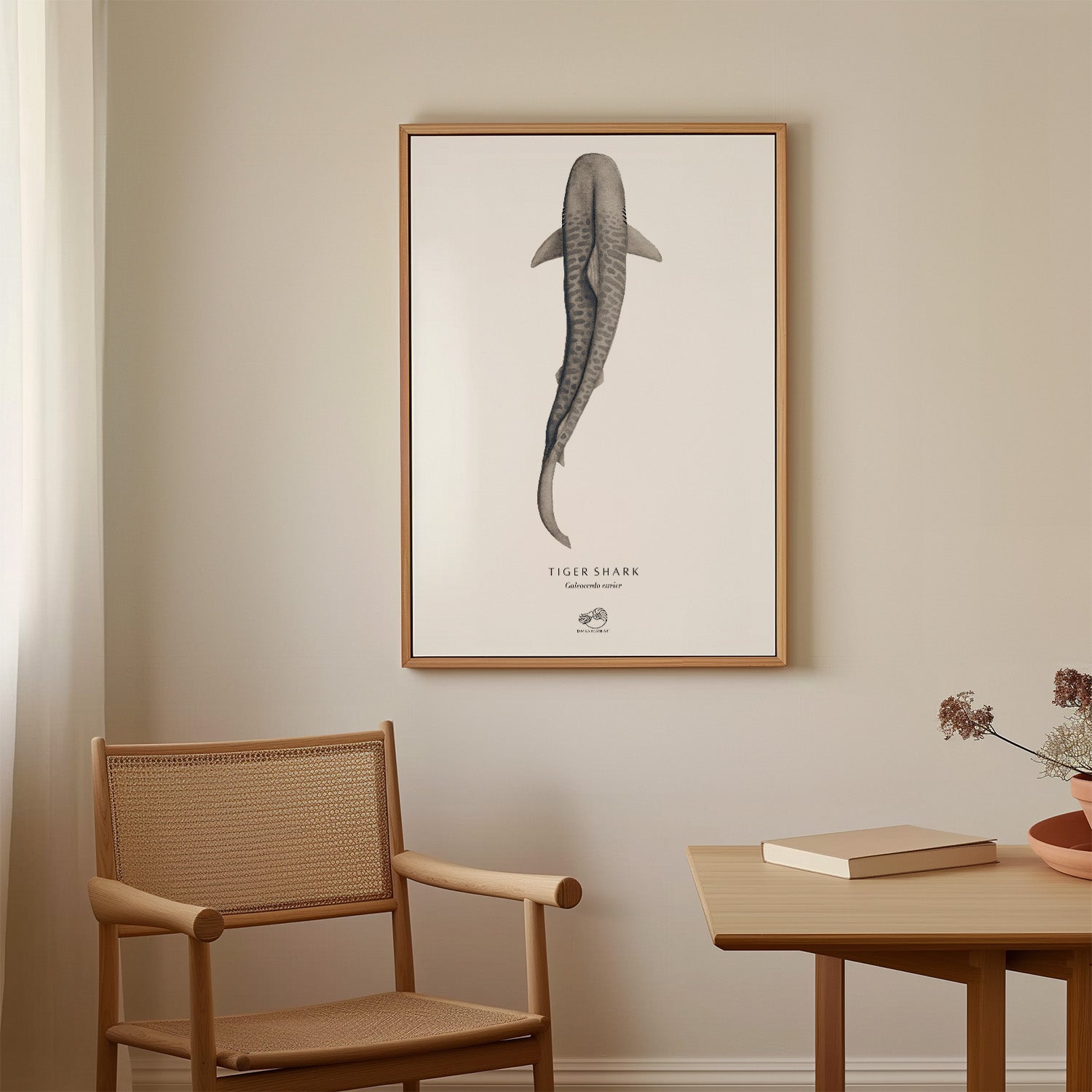 Tiger Shark Canvas Print
