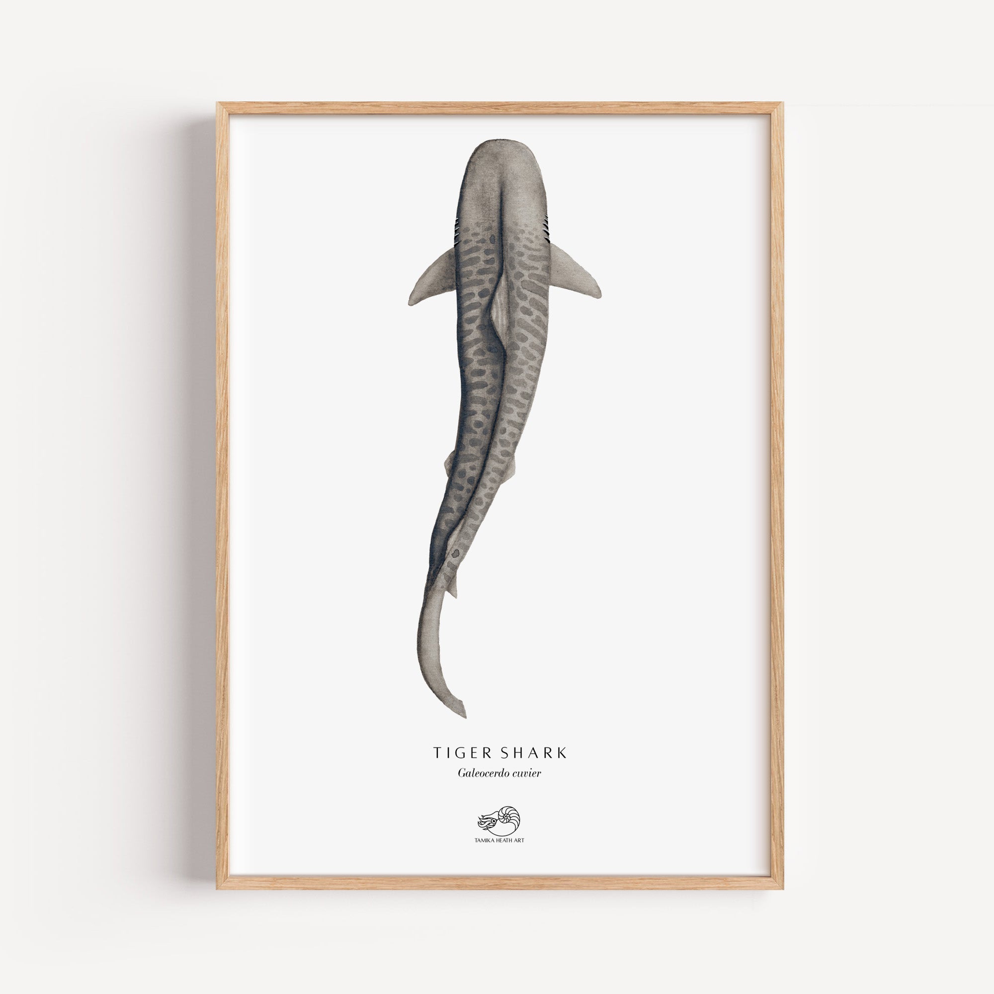 Tiger Shark Art Print