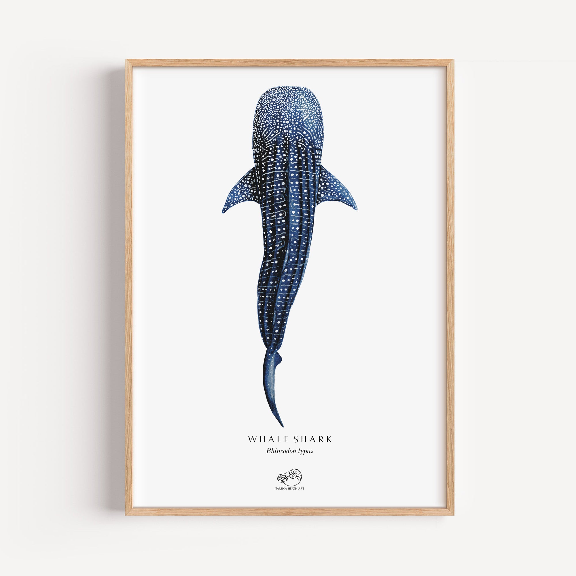 Whale Shark Art Print
