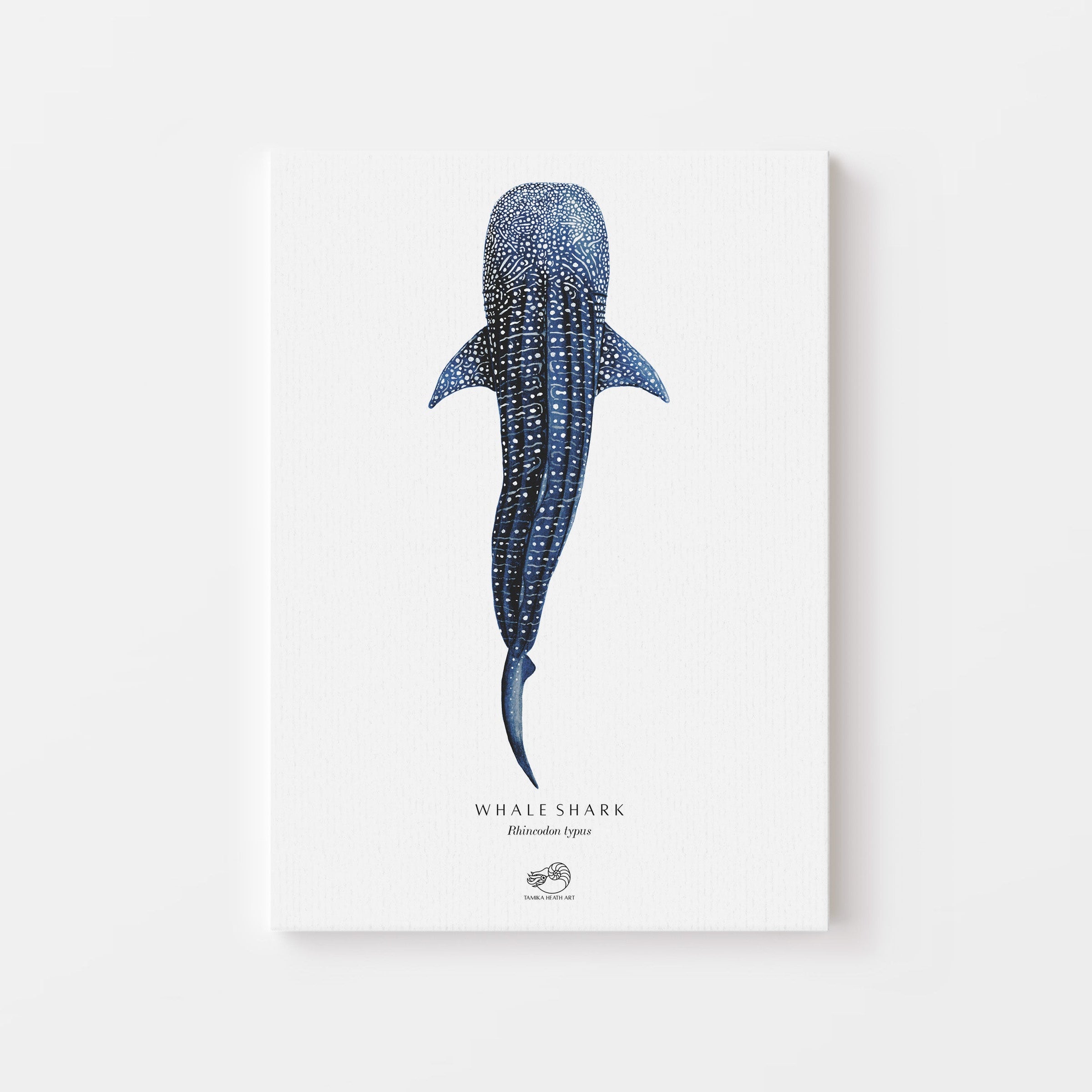 Whale Shark Canvas Print