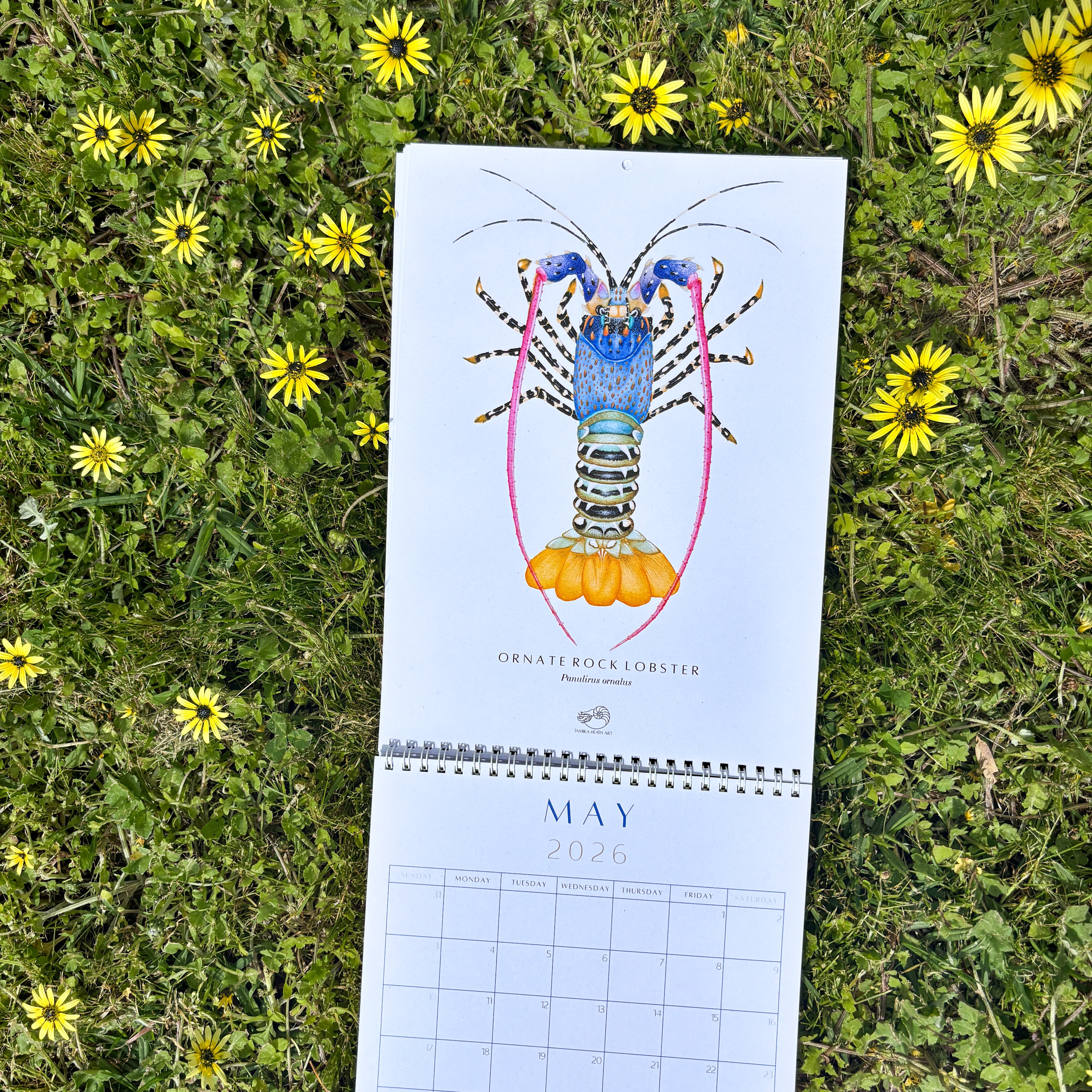 2026 Fine Art Calendar