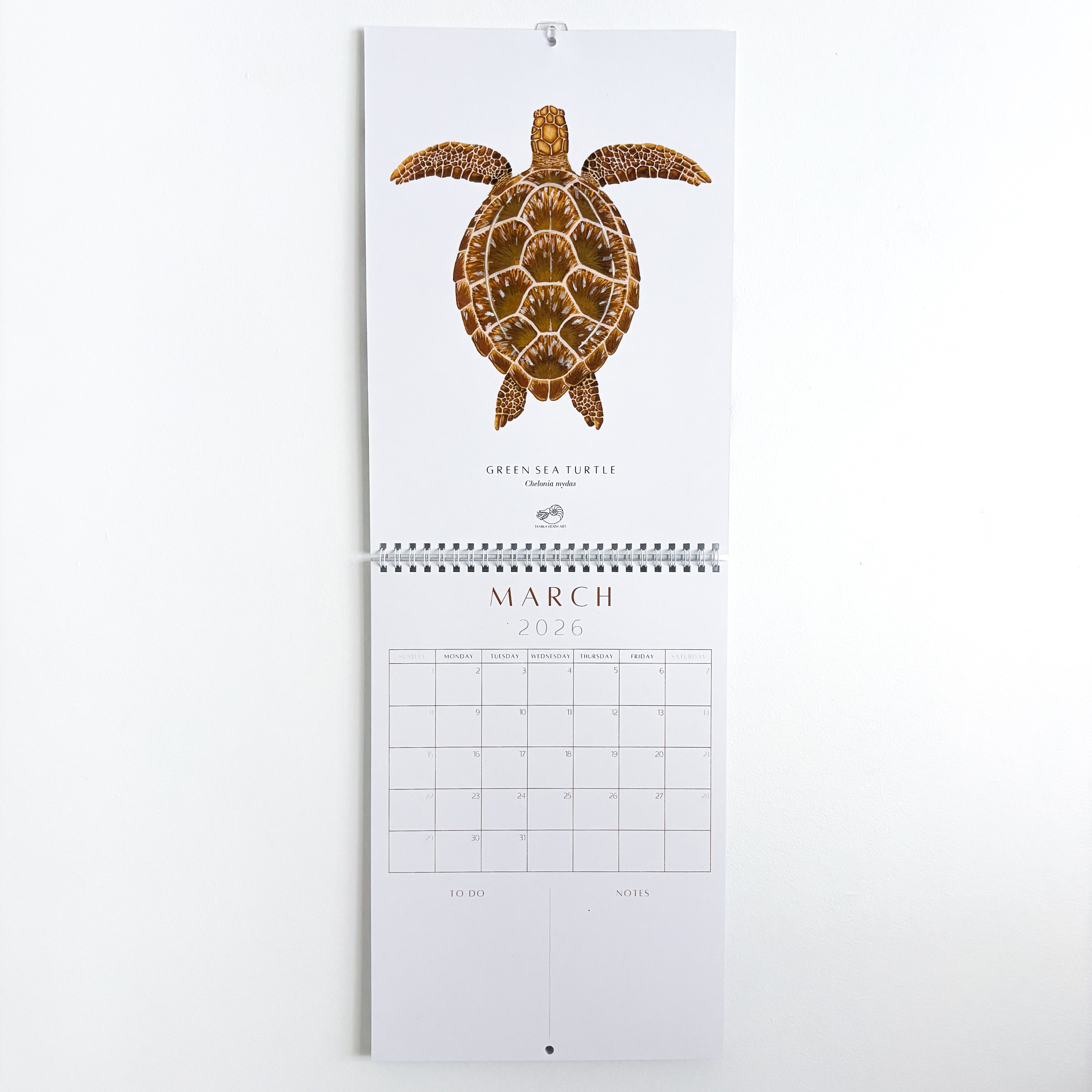 2026 Fine Art Calendar