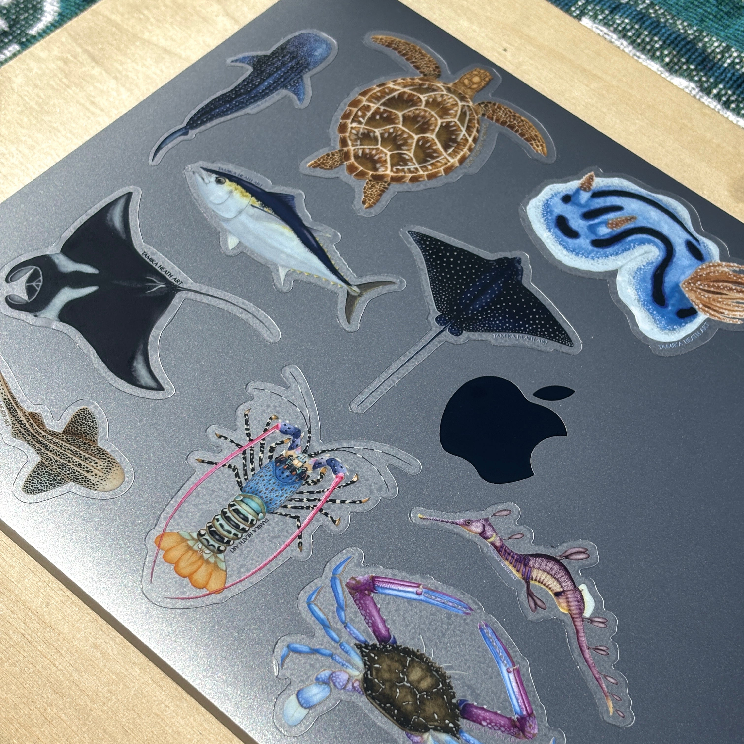 Weedy Sea Dragon Sticker (Transparent)