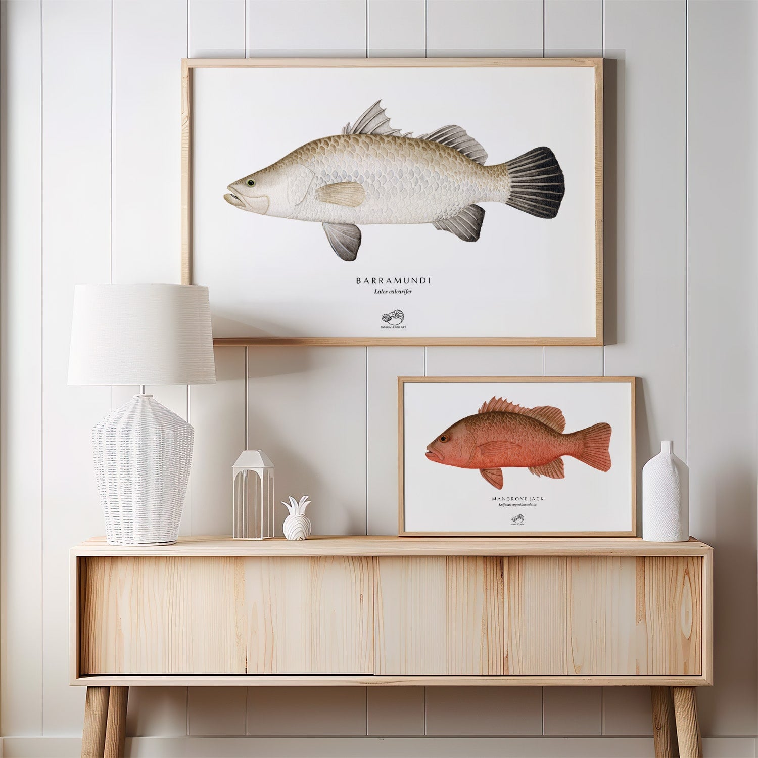 Barramundi Art Print