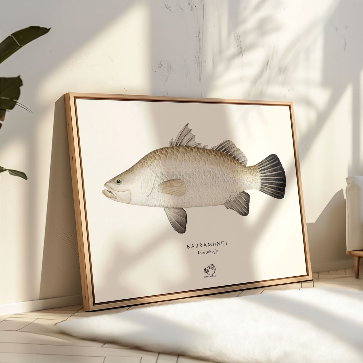 Barramundi Canvas Print