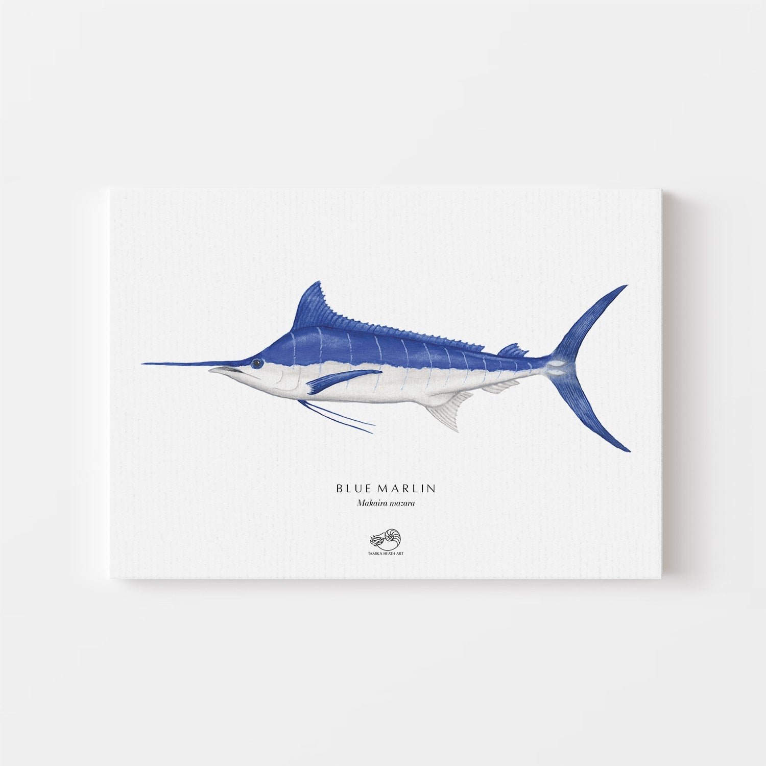 Blue Marlin Canvas Print