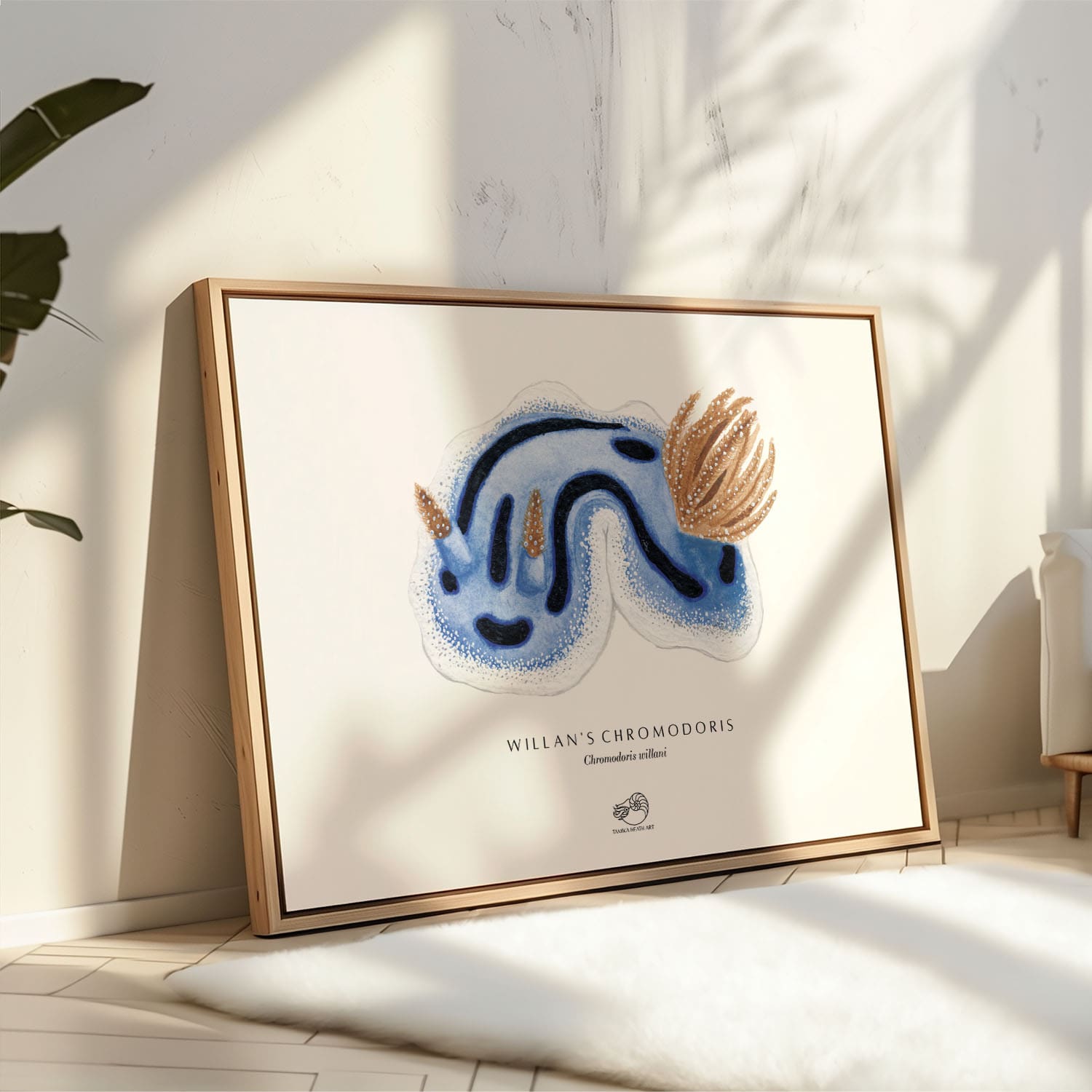 Willan's Chromodoris Canvas Print