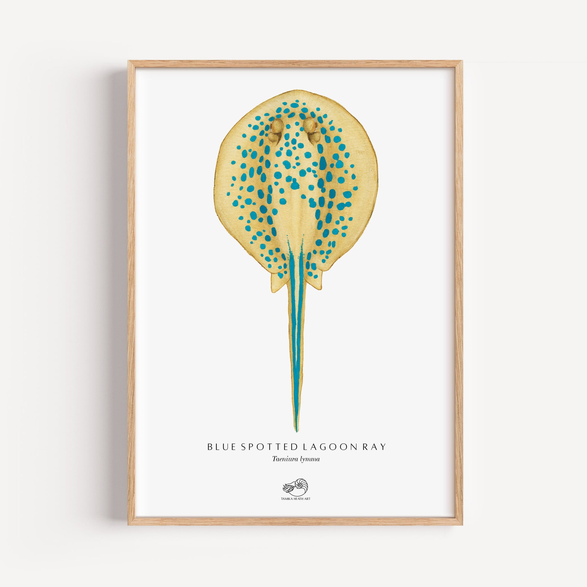 Blue Spotted Lagoon Ray Art Print