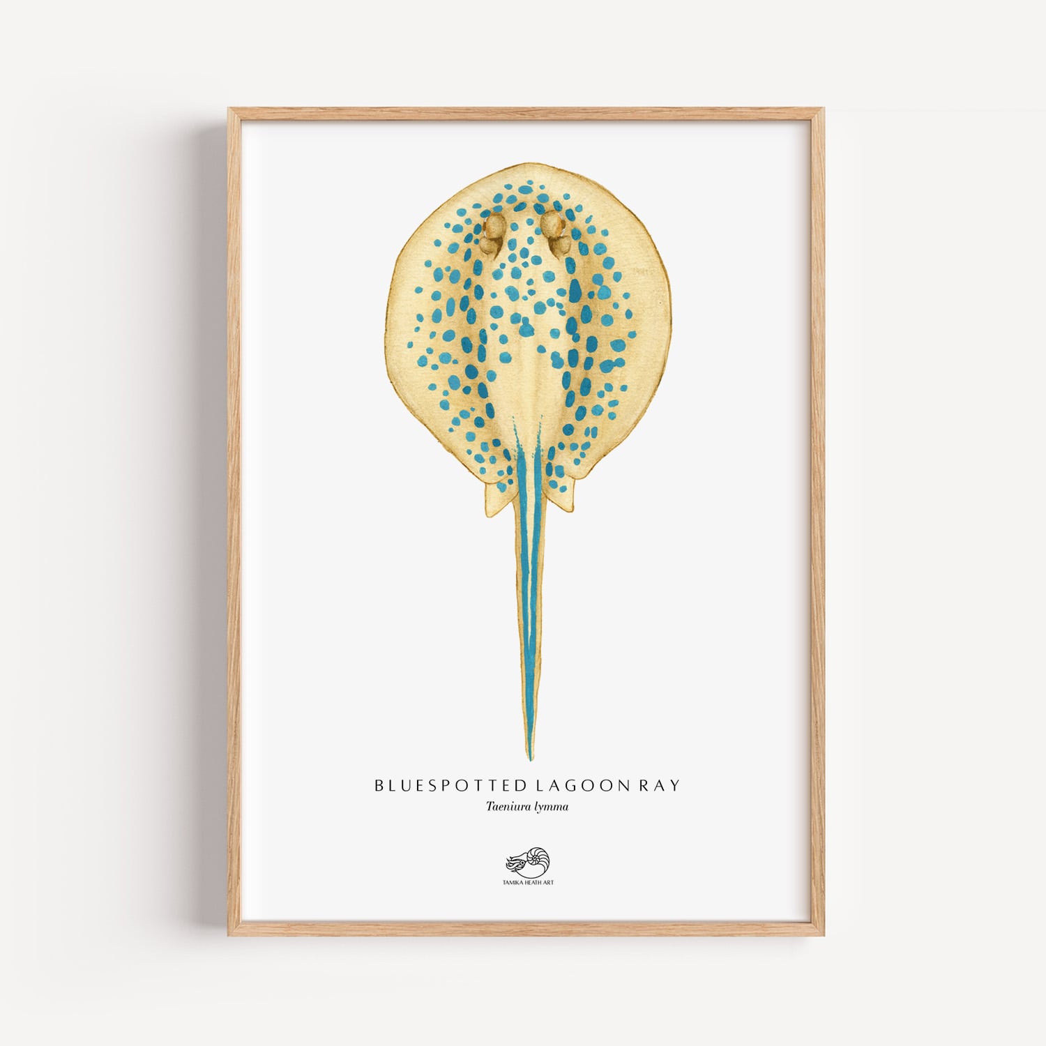 Blue Spotted Lagoon Ray Art Print