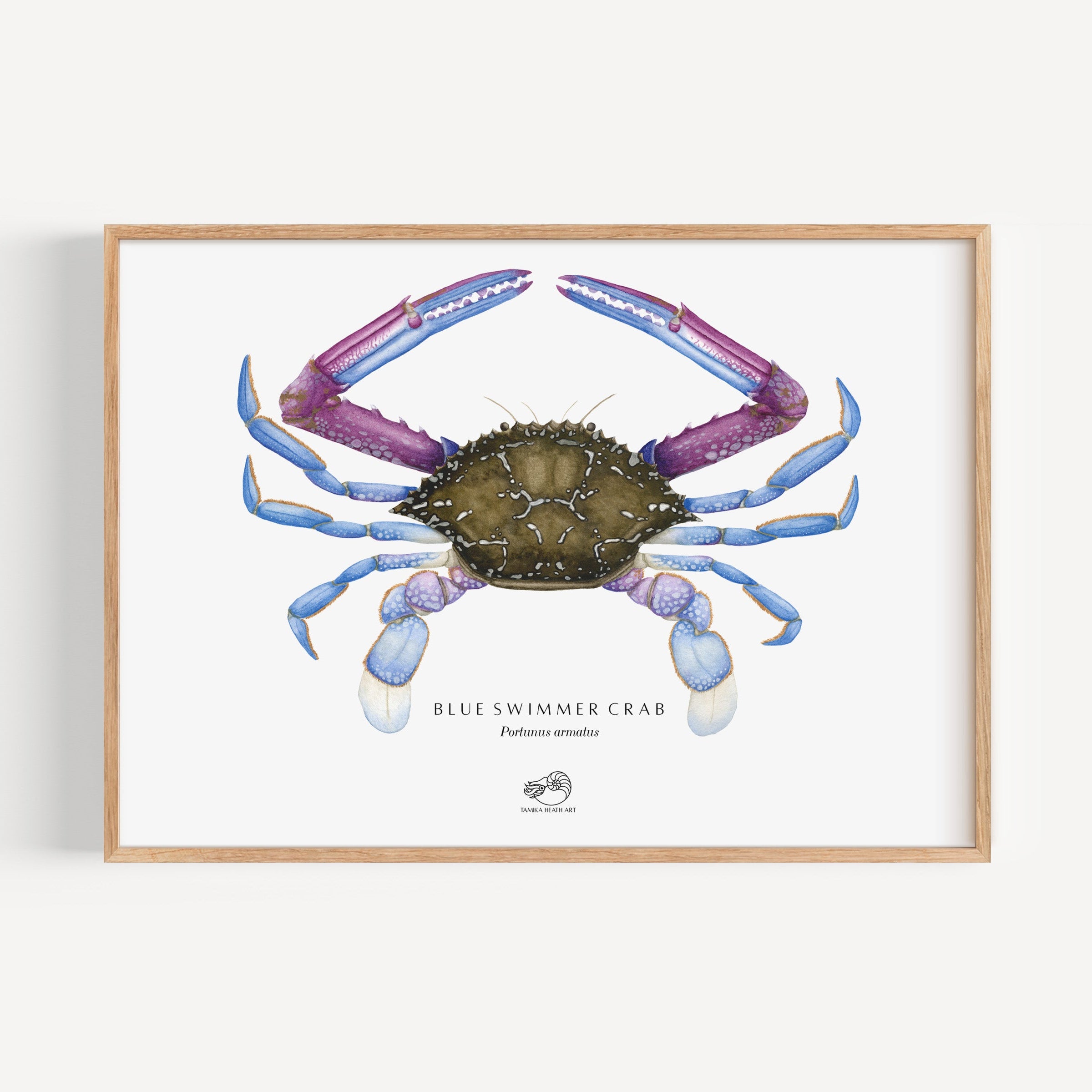 Blue Swimmer Crab Art Print