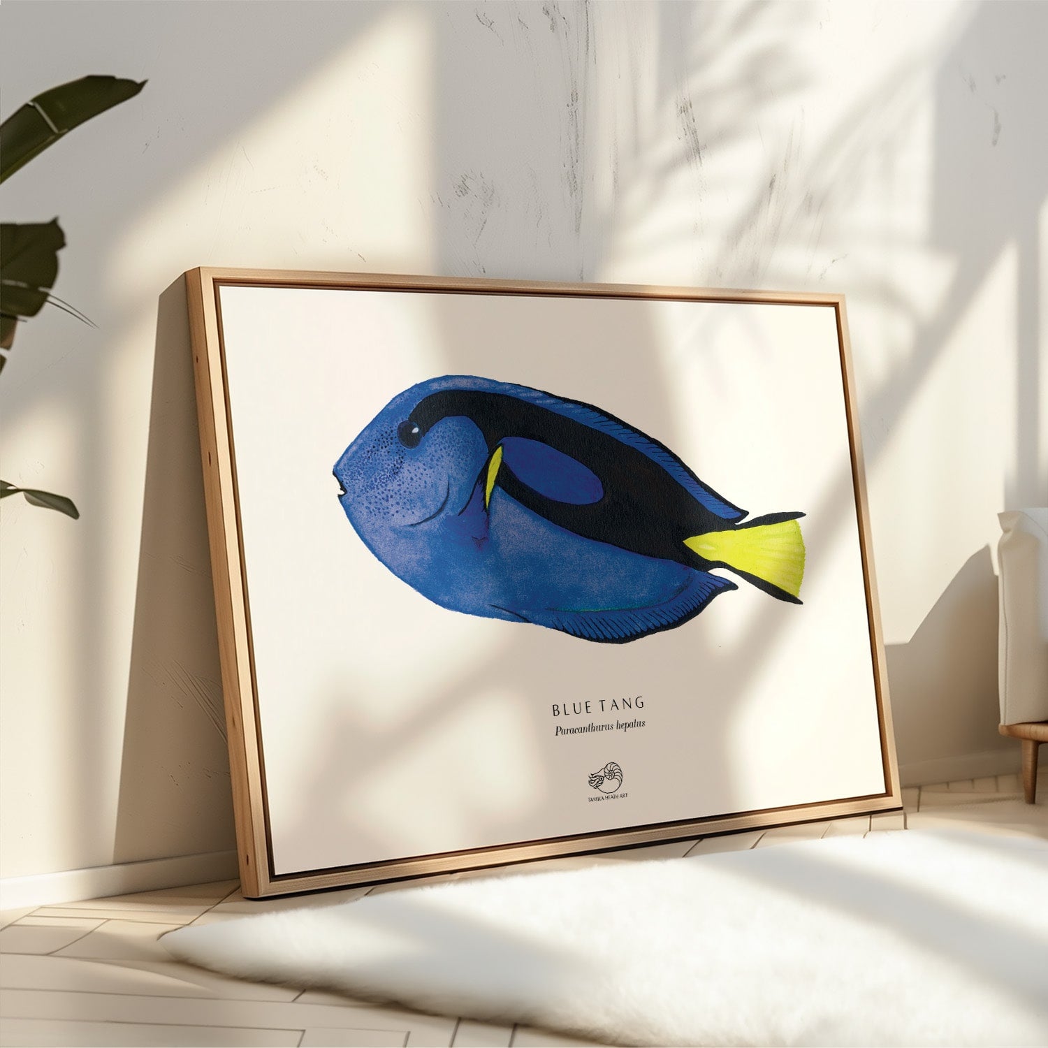 Blue Tang Canvas Print