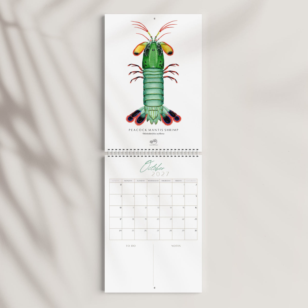 2027 A4 Fine Art Calendar