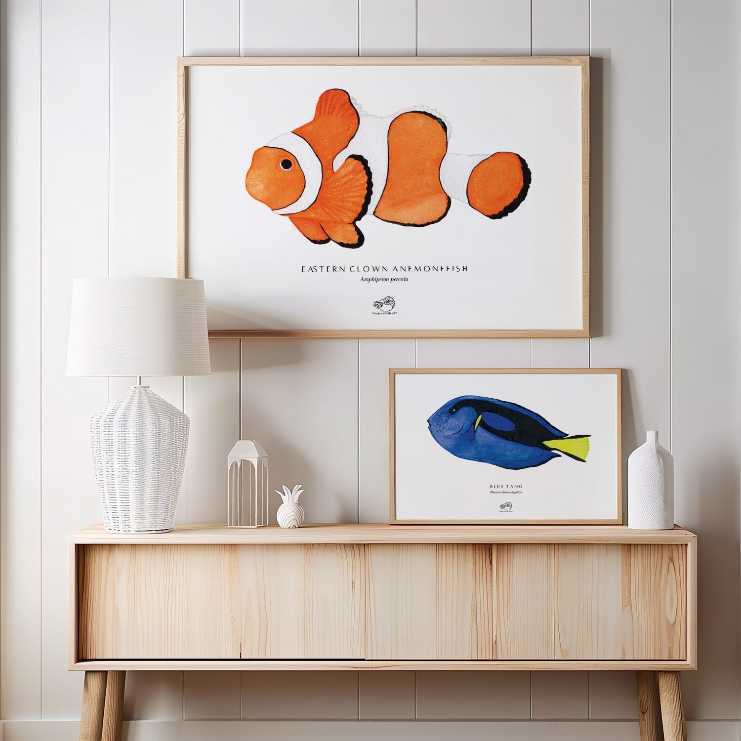 Eastern Clown Anemonefish Art Print