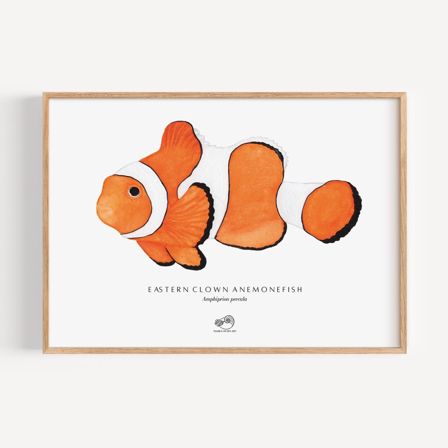 Eastern Clown Anemonefish Art Print