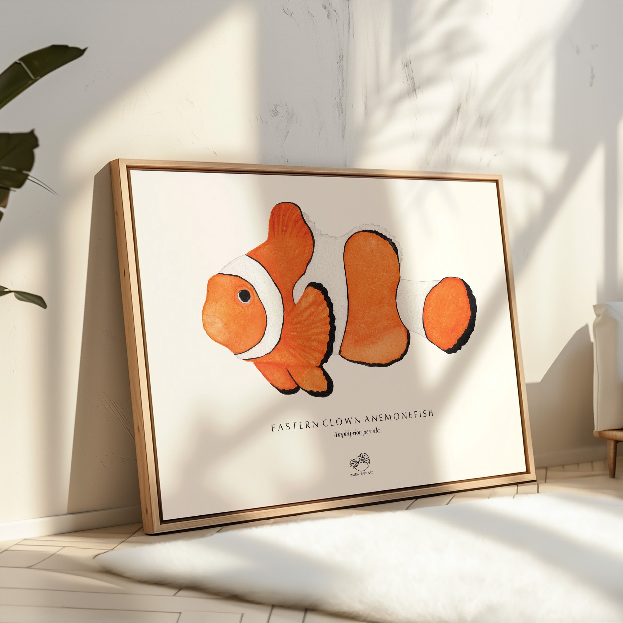 Eastern Clown Anemonefish Canvas Print
