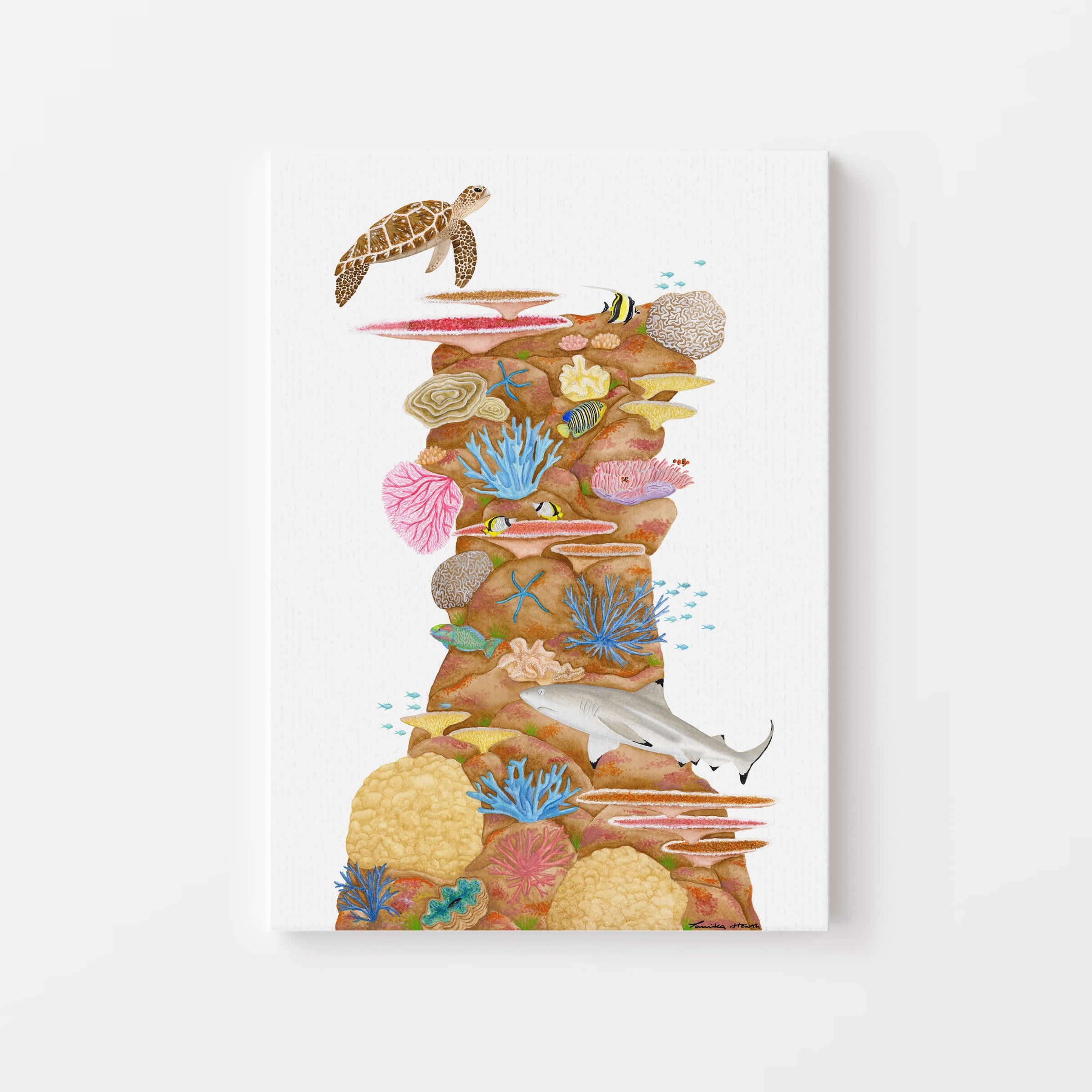 'Bommie' Canvas Print