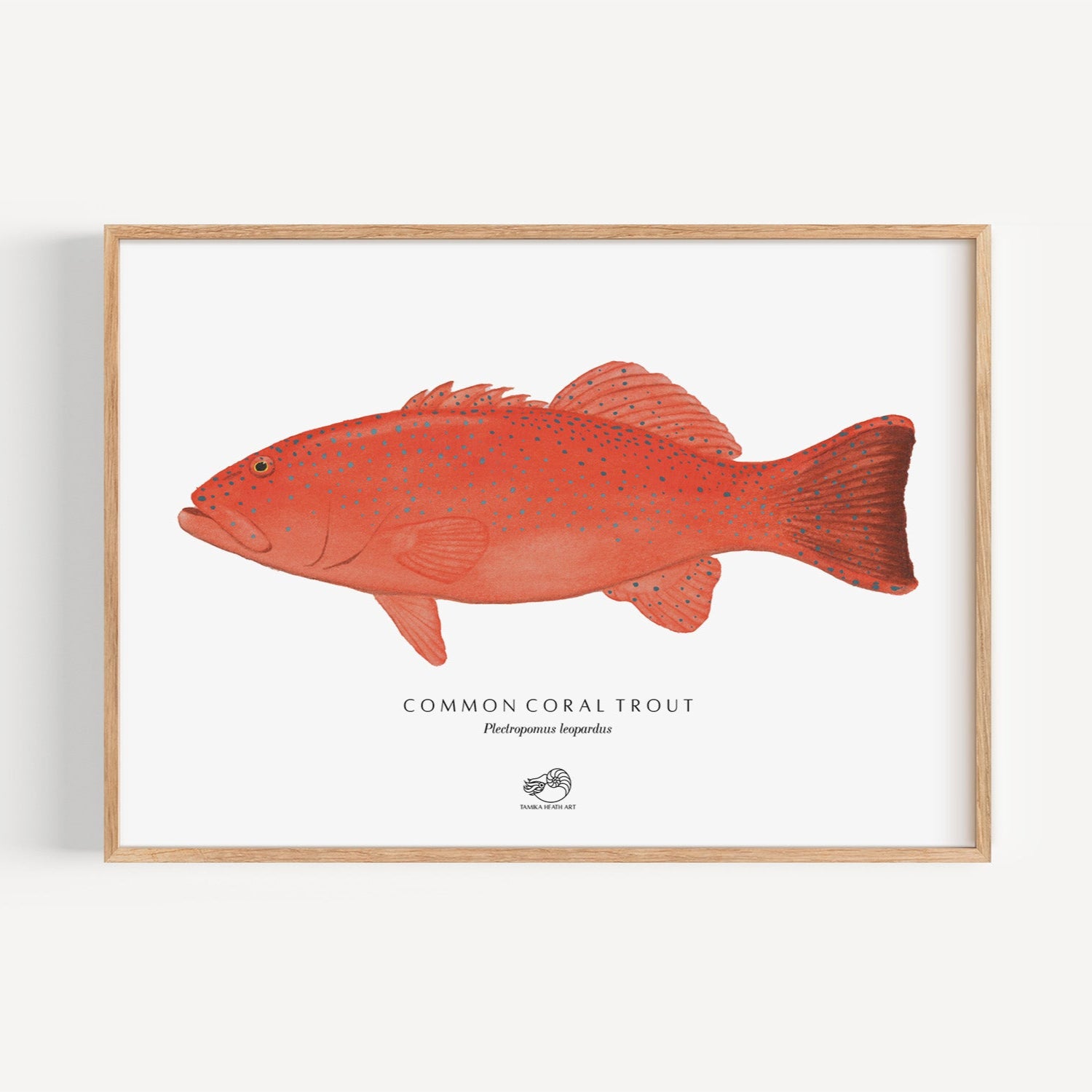 Coral Trout Art Print