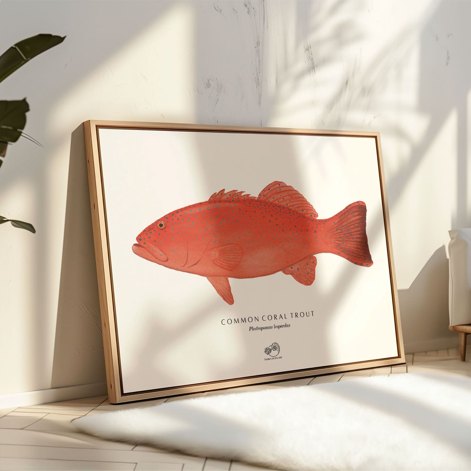 Coral Trout Canvas Print