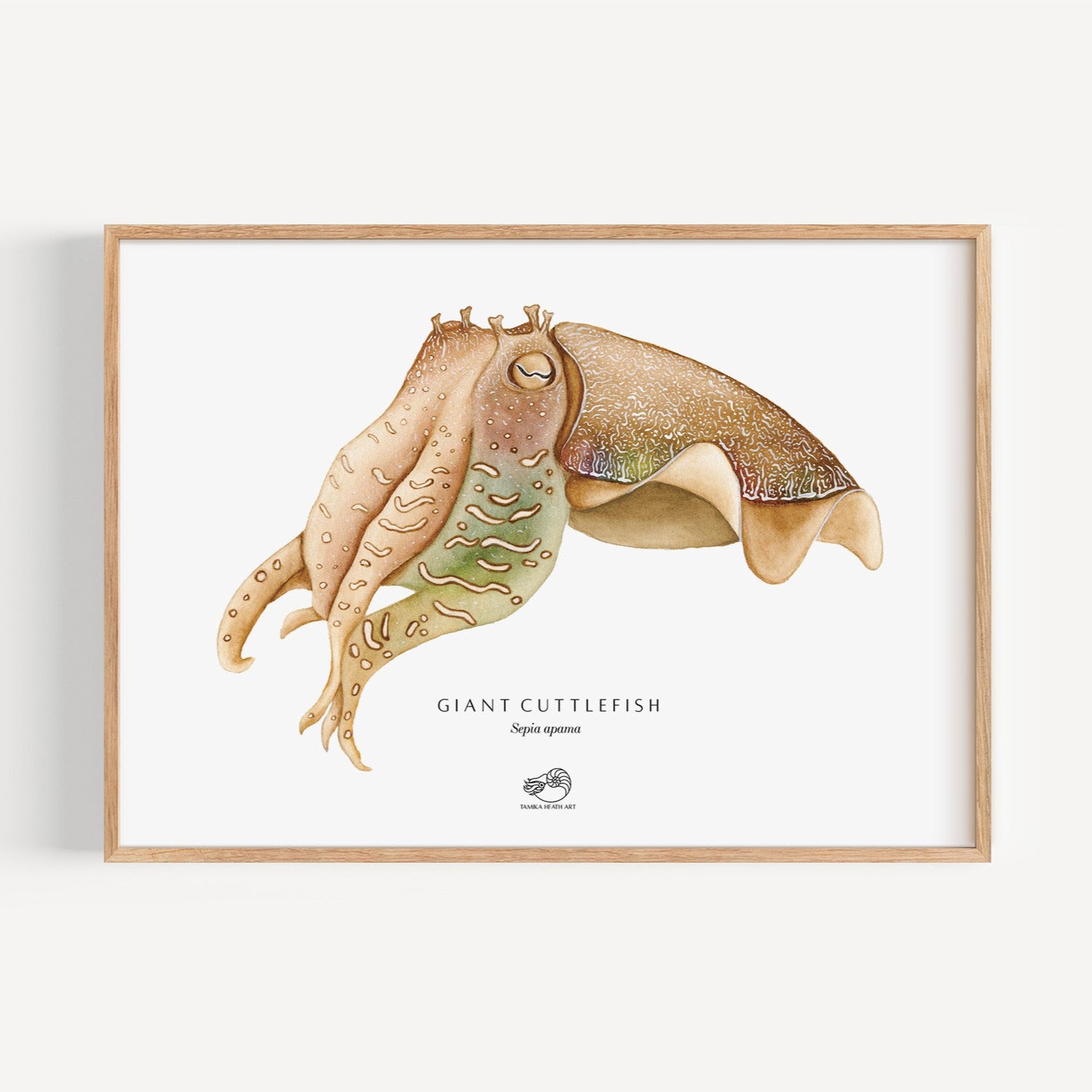 Giant Cuttlefish Art Print