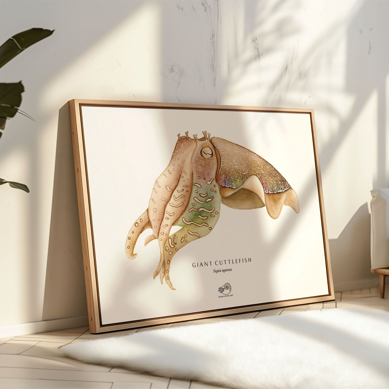 Giant Cuttlefish Canvas Print