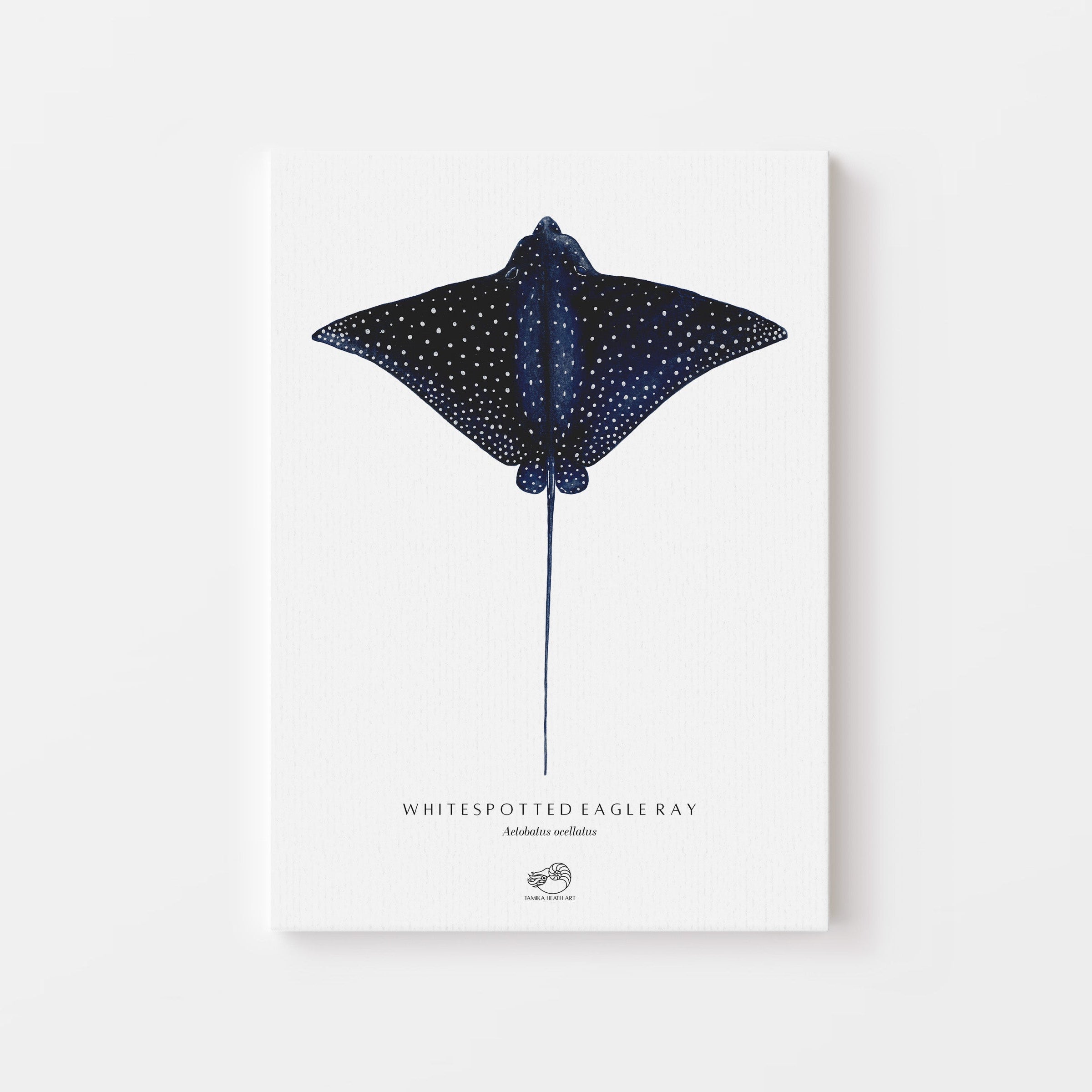 Whitespotted Eagle Ray Canvas Print
