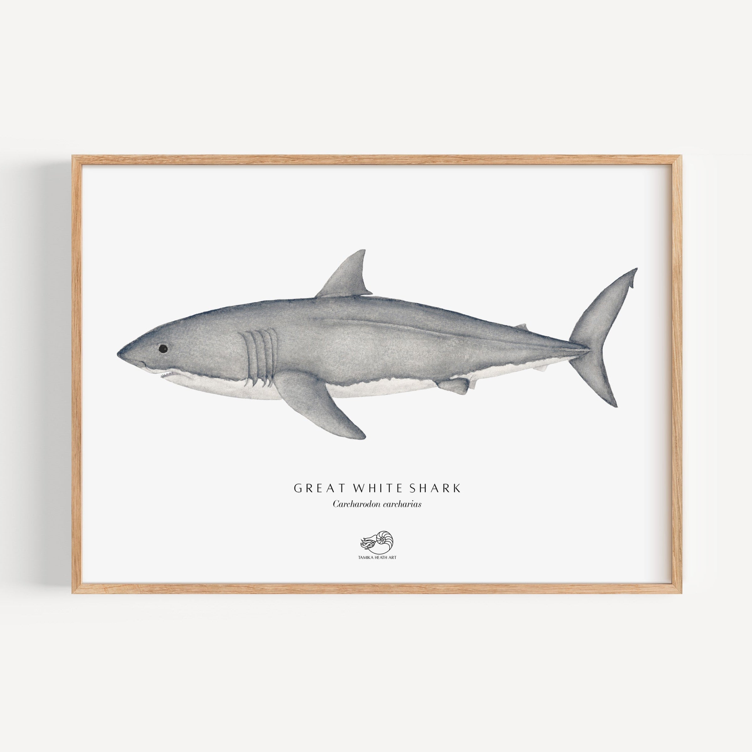 Great White Shark Art Print