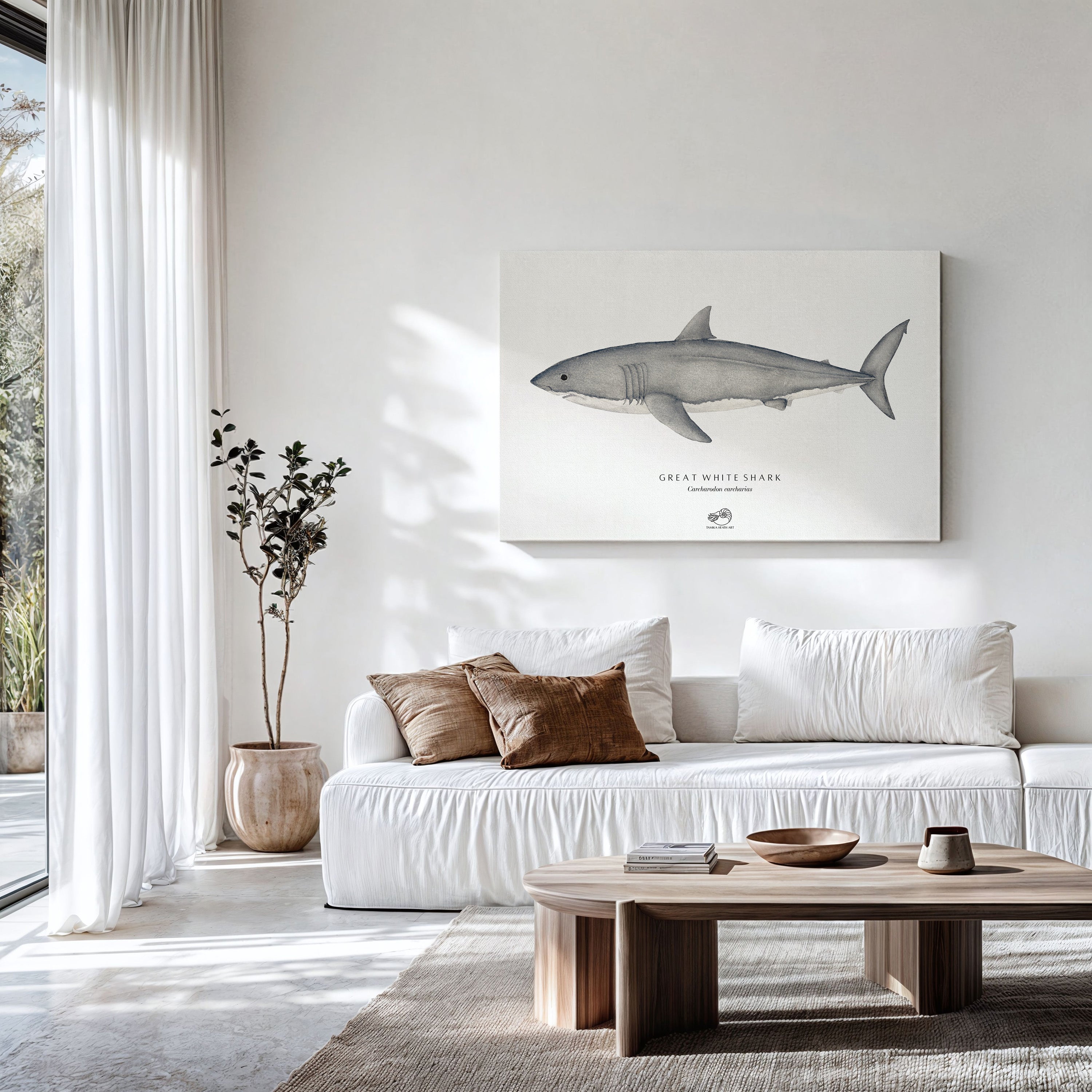 Great White Shark Canvas Print