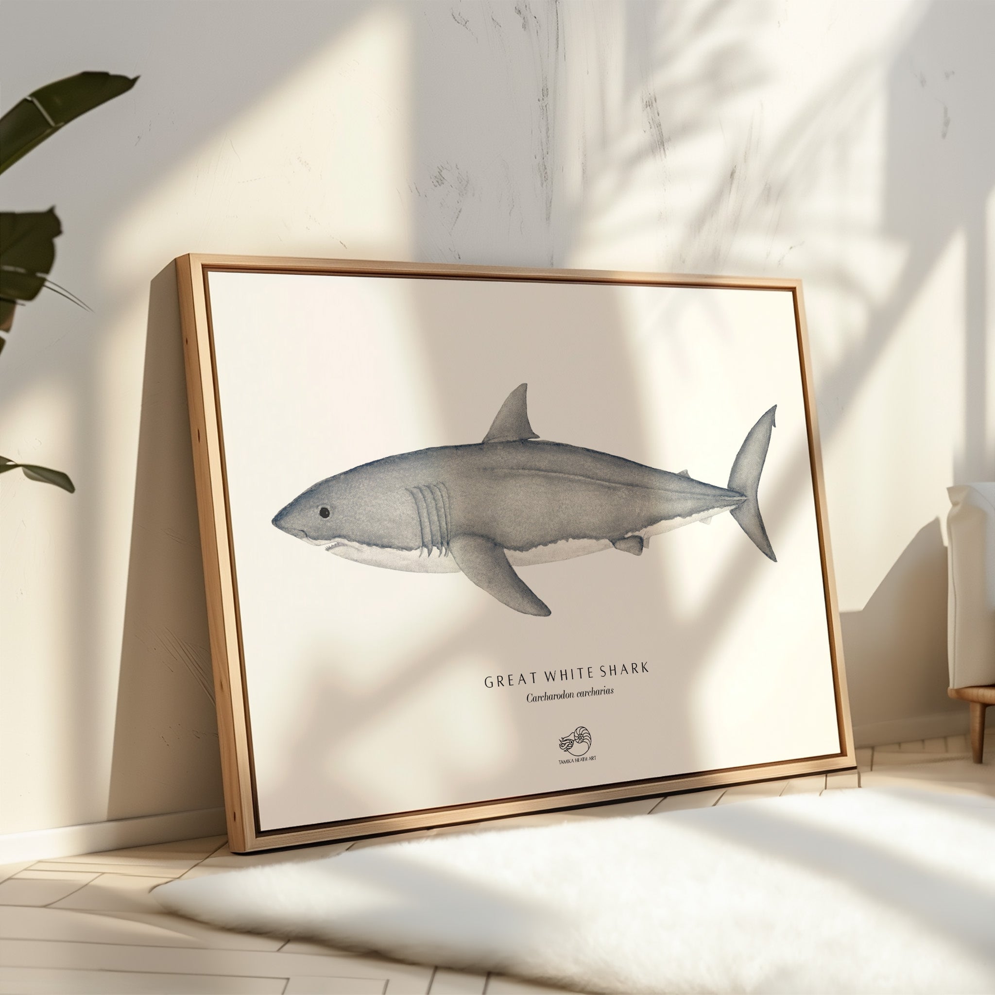 Great White Shark Canvas Print