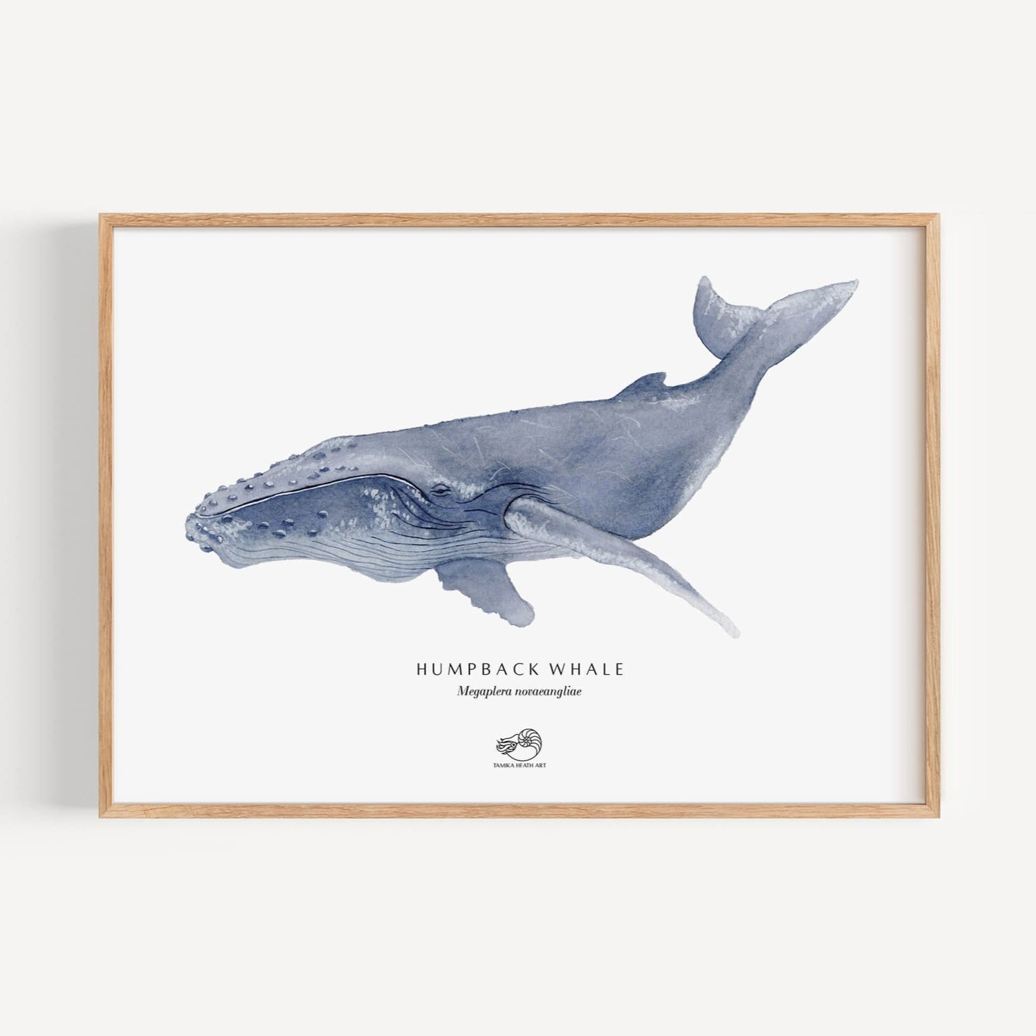 humpback-whale-art-in-frame-on-wall-min