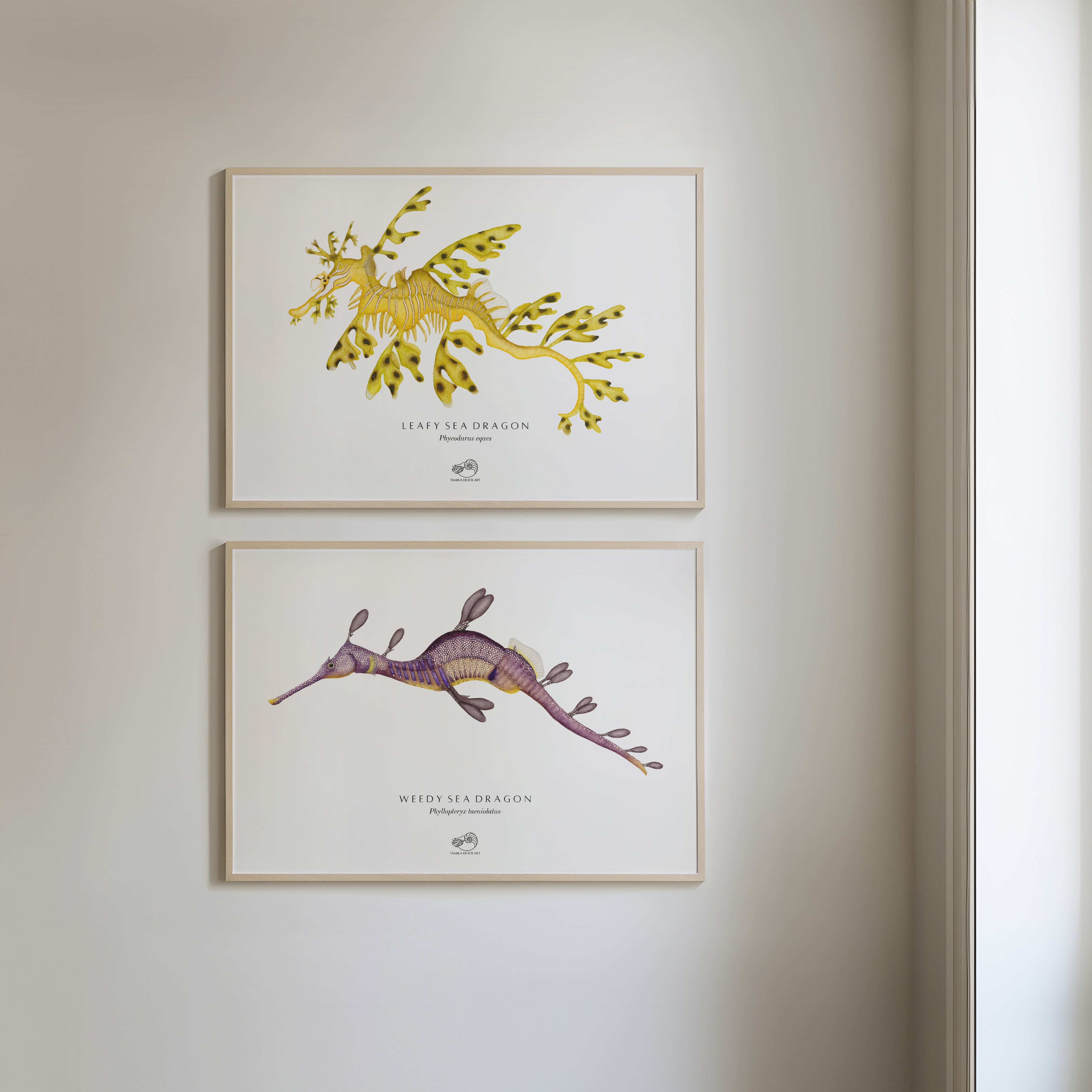 Weedy Sea Dragon Art Print