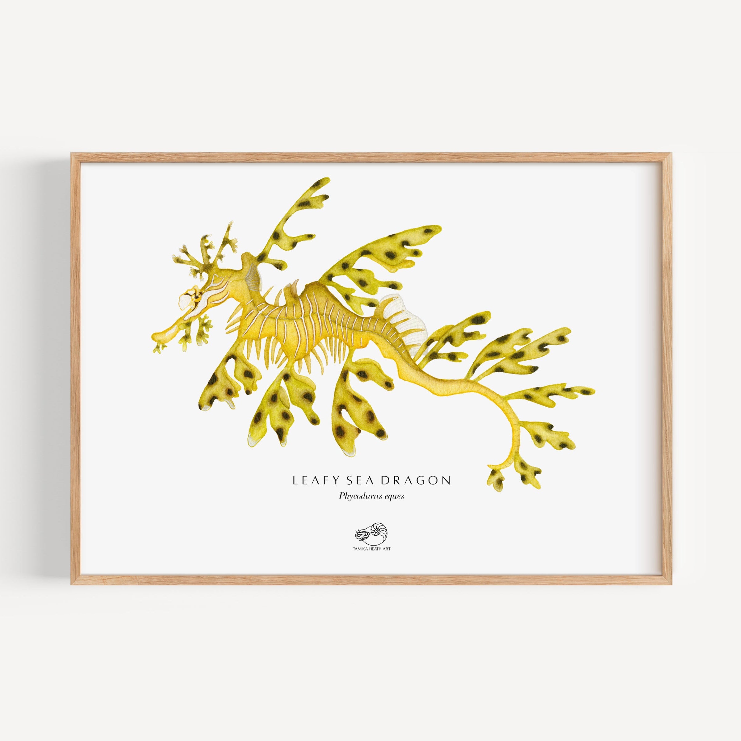 Leafy Sea Dragon Art Print