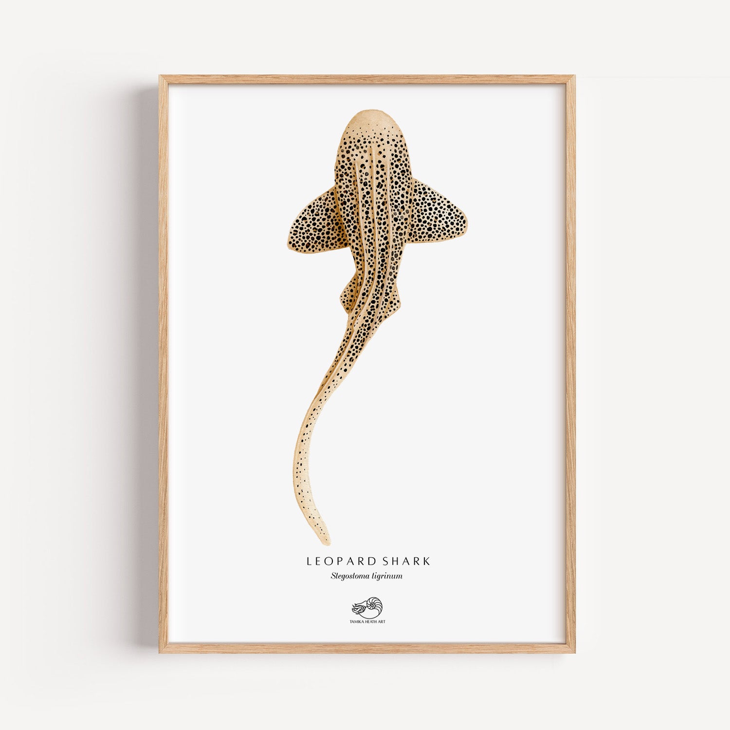 Leopard Shark Art Print