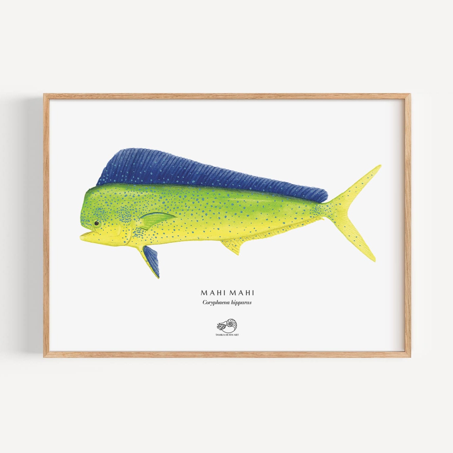 Mahi Mahi Art Print