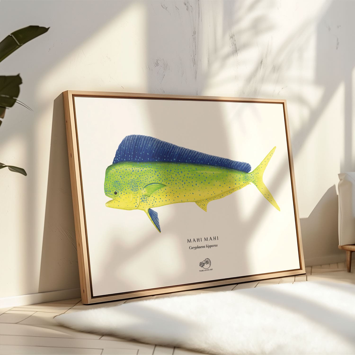 Mahi Mahi Canvas Print