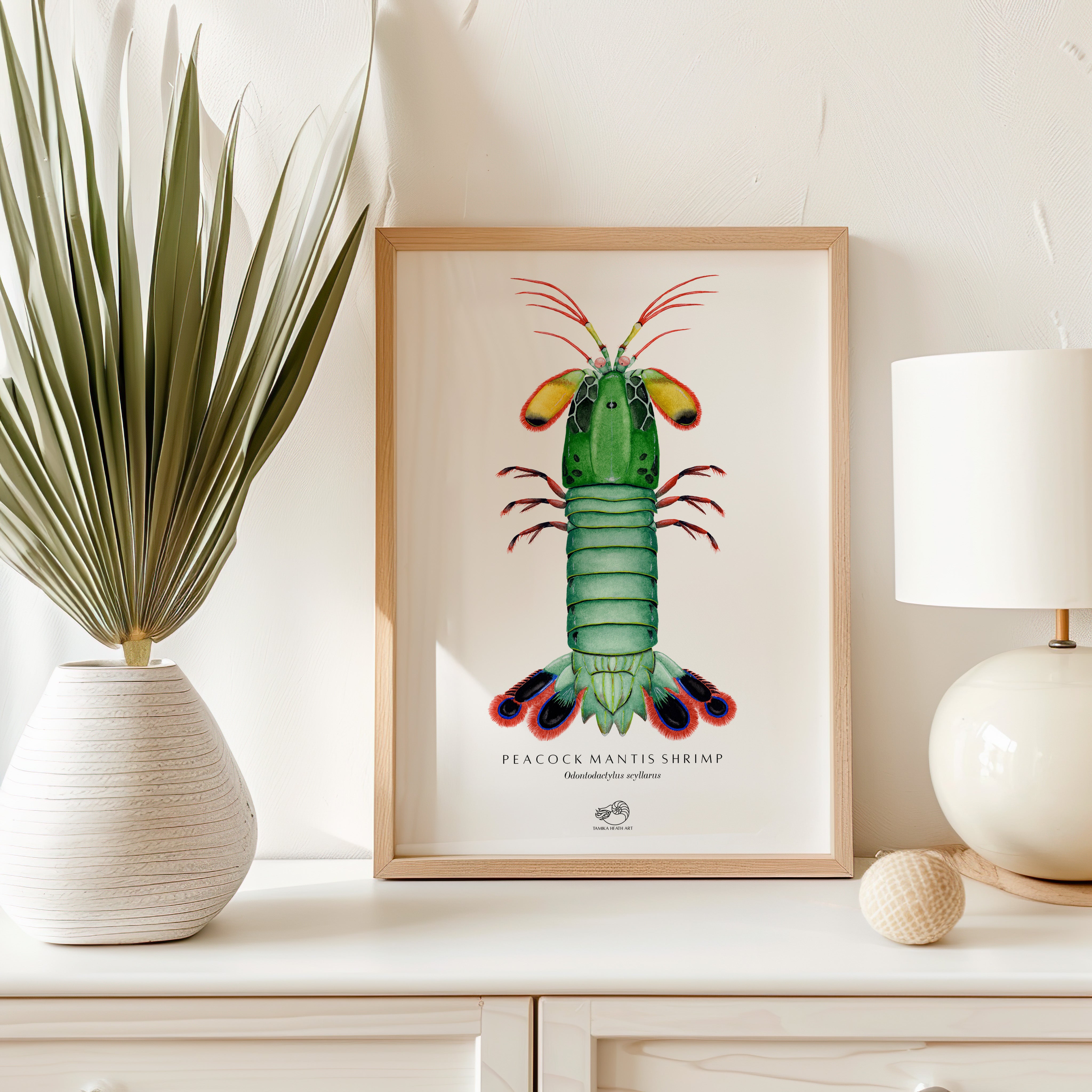 Peacock Mantis Shrimp Art Print