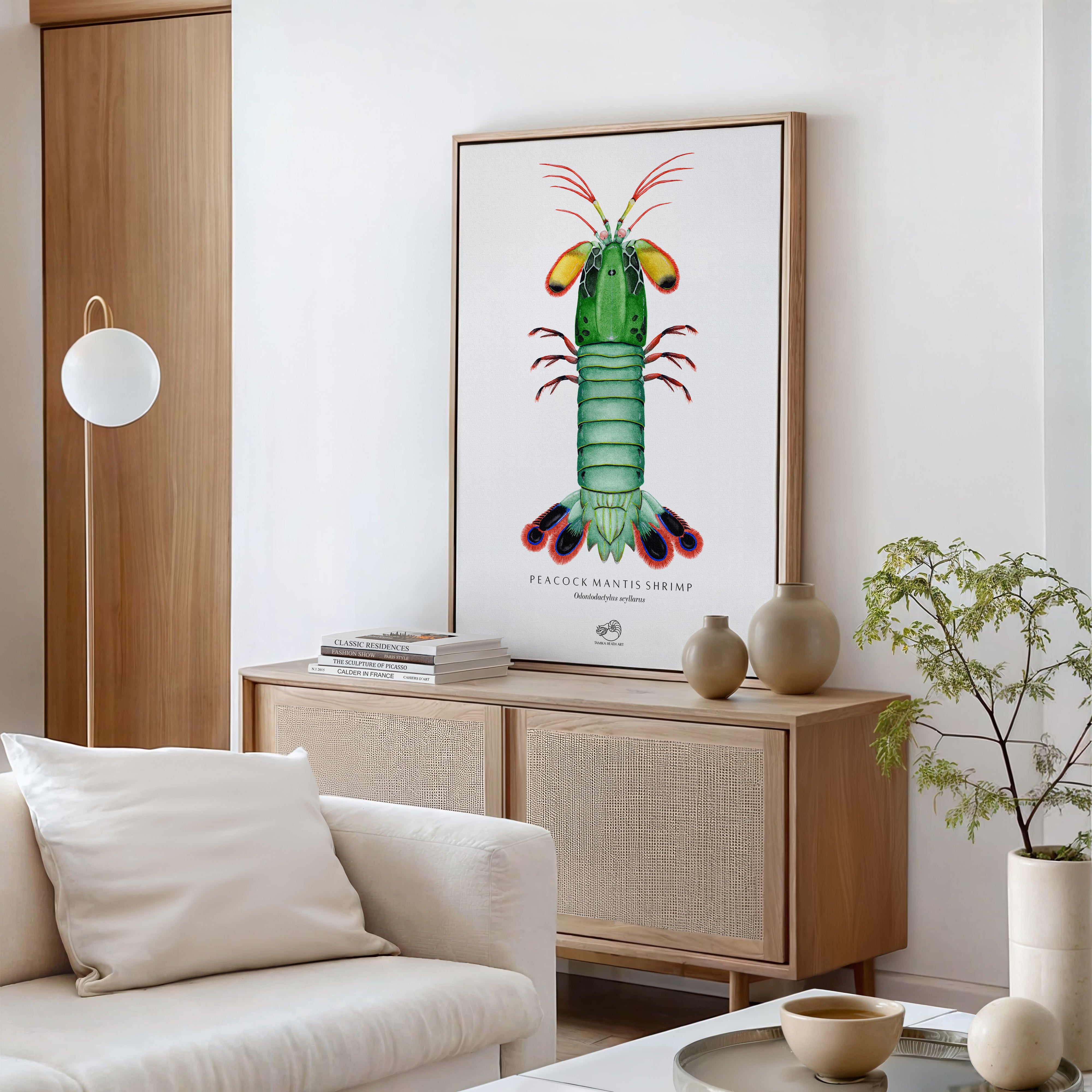 Peacock Mantis Shrimp Canvas Print