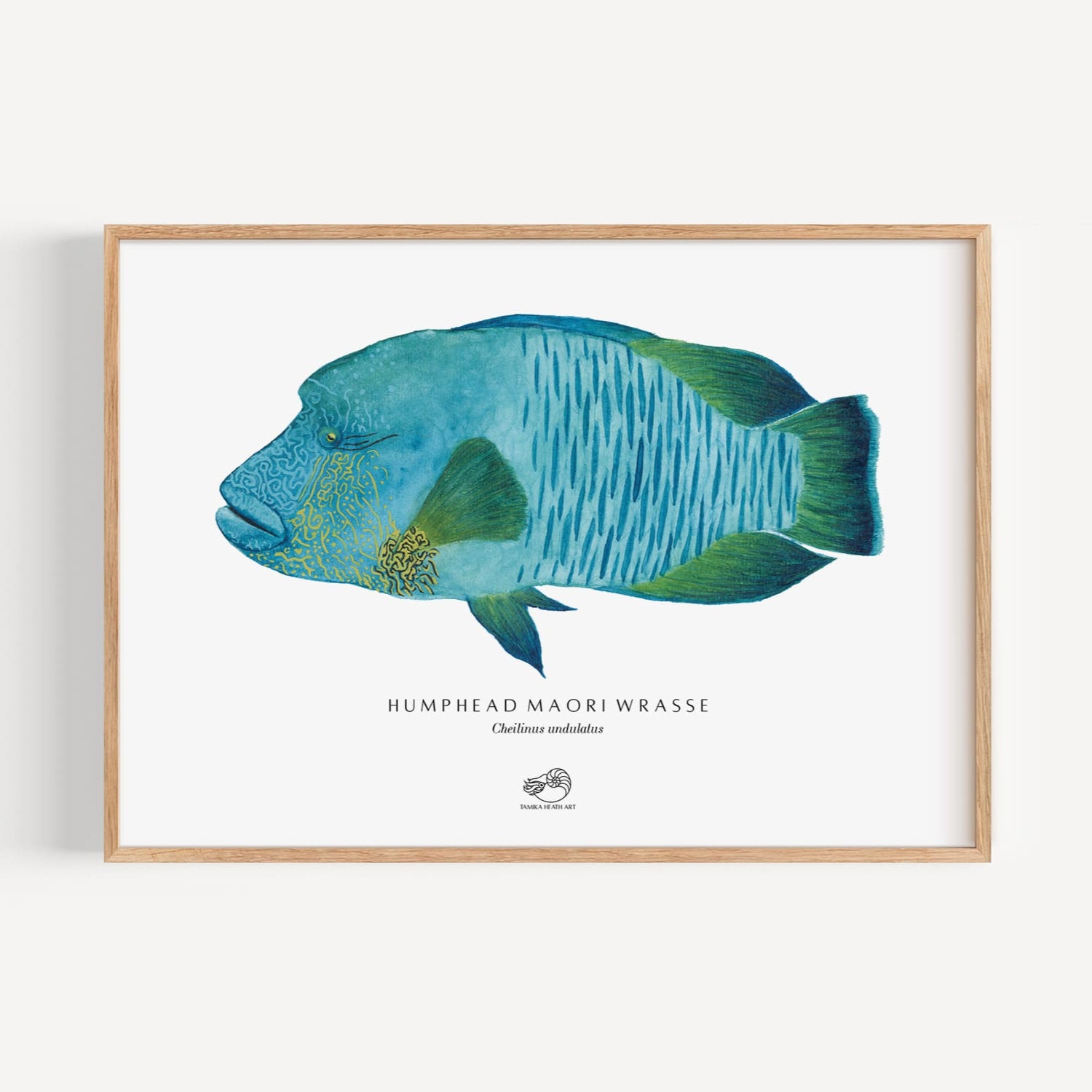 Humphead Maori Wrasse Art Print